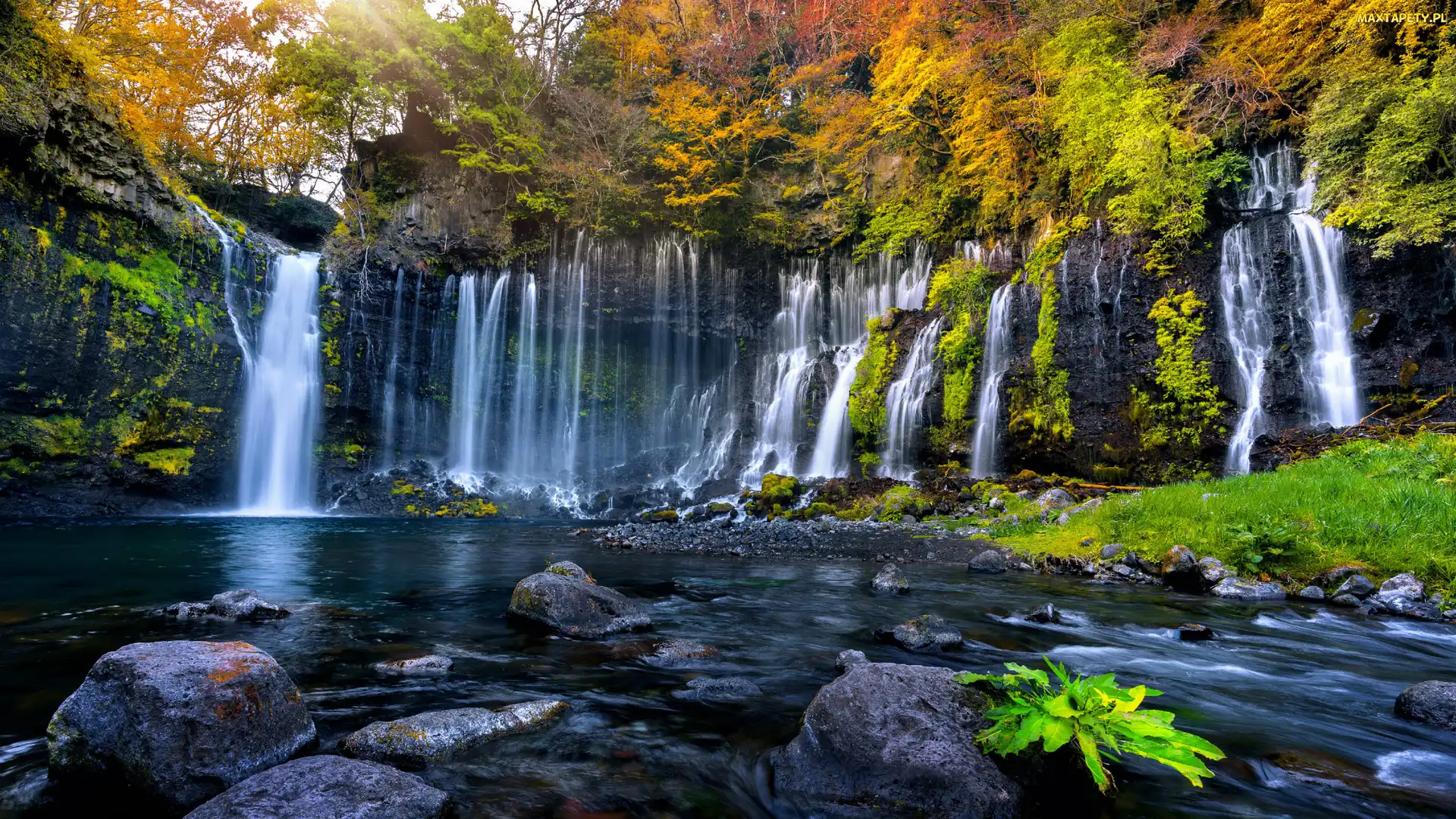 Drzewa, Kamienie, Shizuoka, Jesień, Wodospad Shiraito, Japonia, Park Narodowy Fudżi Hakone Izu
