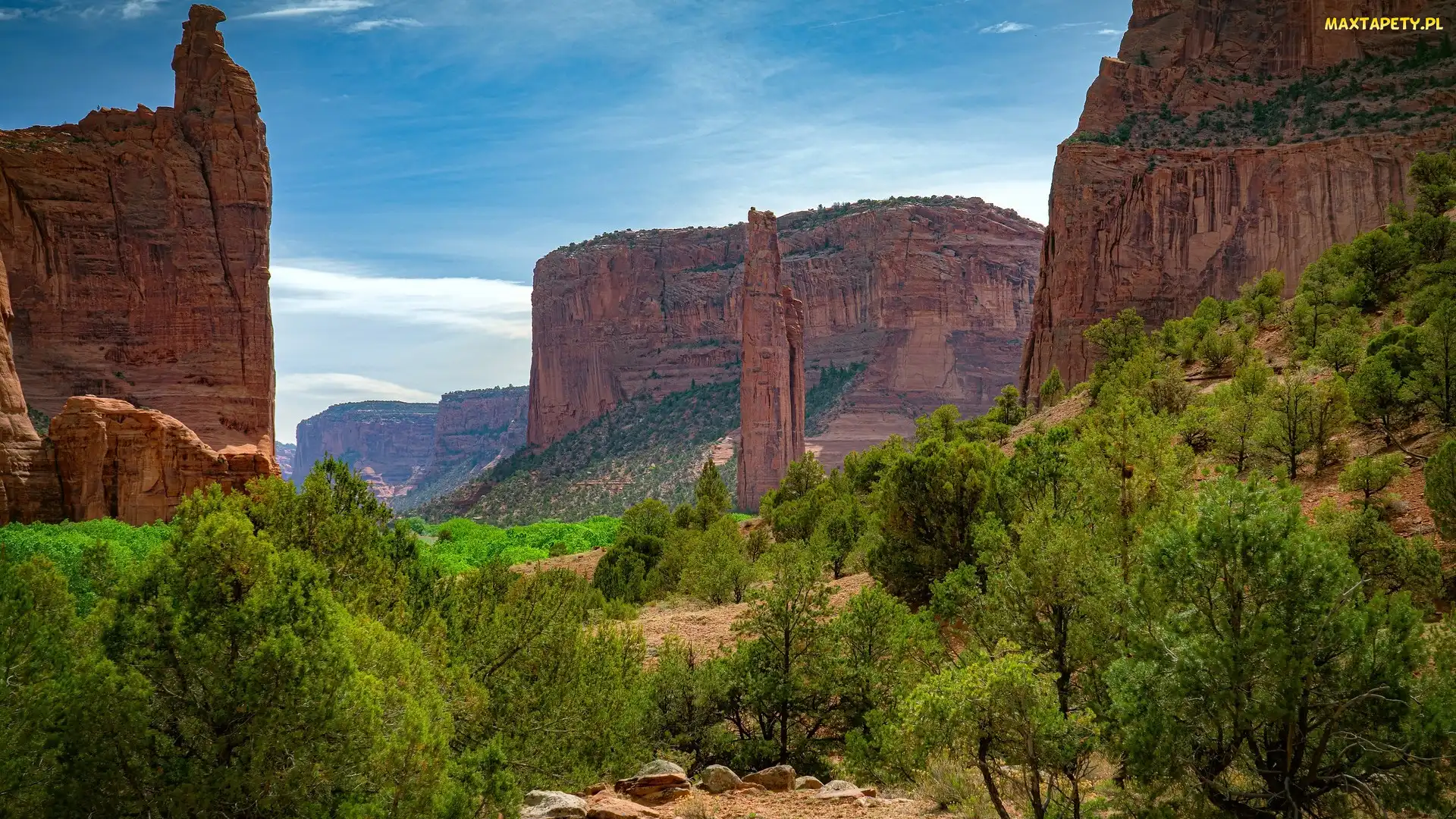 Drzewa, Skały, Stan Utah, Stany Zjednoczone, Park Narodowy Zion, Kanion Zion Narrows
