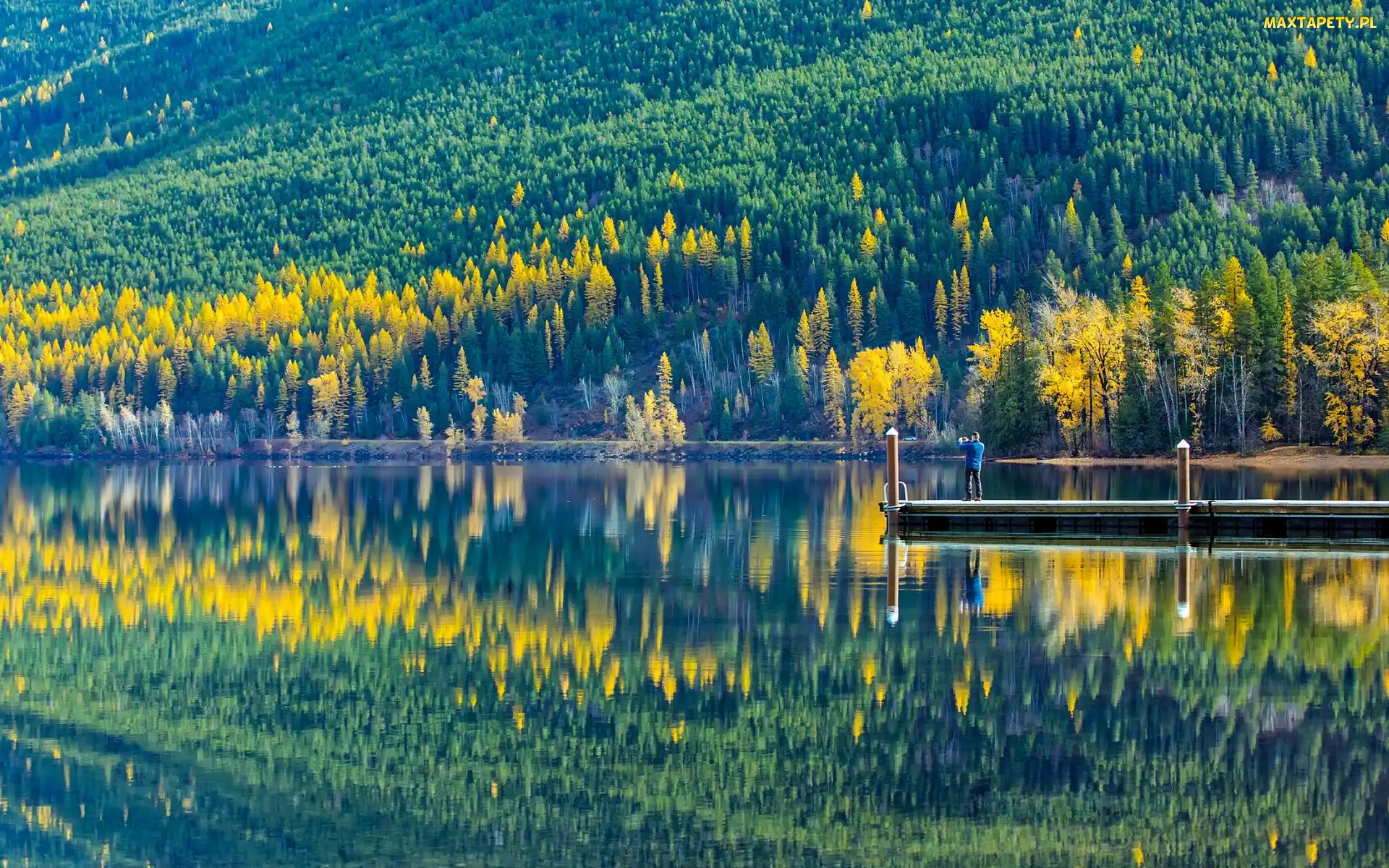 Stany Zjednoczone, Góry, Pomost, Lasy, Mężczyzna, Lake McDonald, Montana, Park Narodowy Glacier, Jezioro