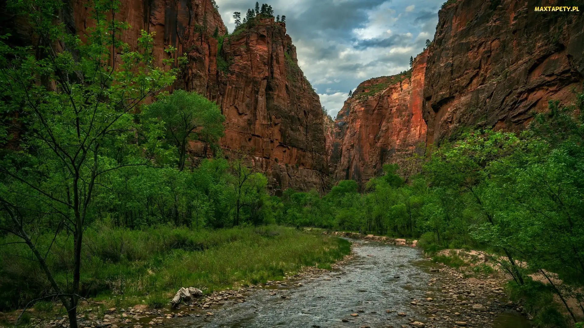 Rzeka, Kamienie, Kanion Zion Narrows, Drzewa, Stan Utah, Virgin River, Stany Zjednoczone, Park Narodowy Zion