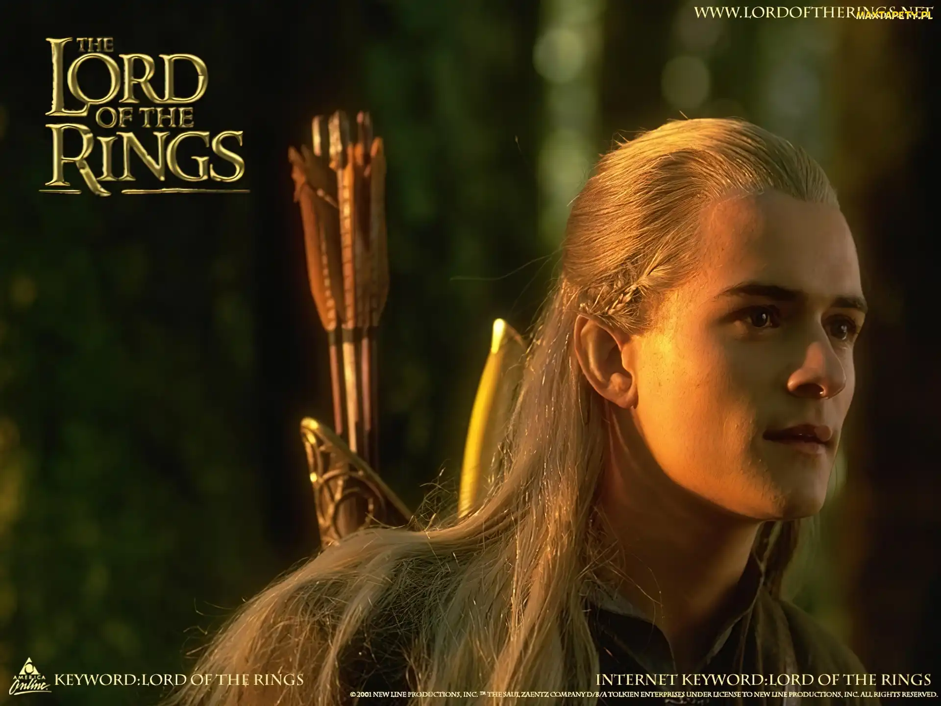 napis, strzały, The Lord of The Rings, blondyn