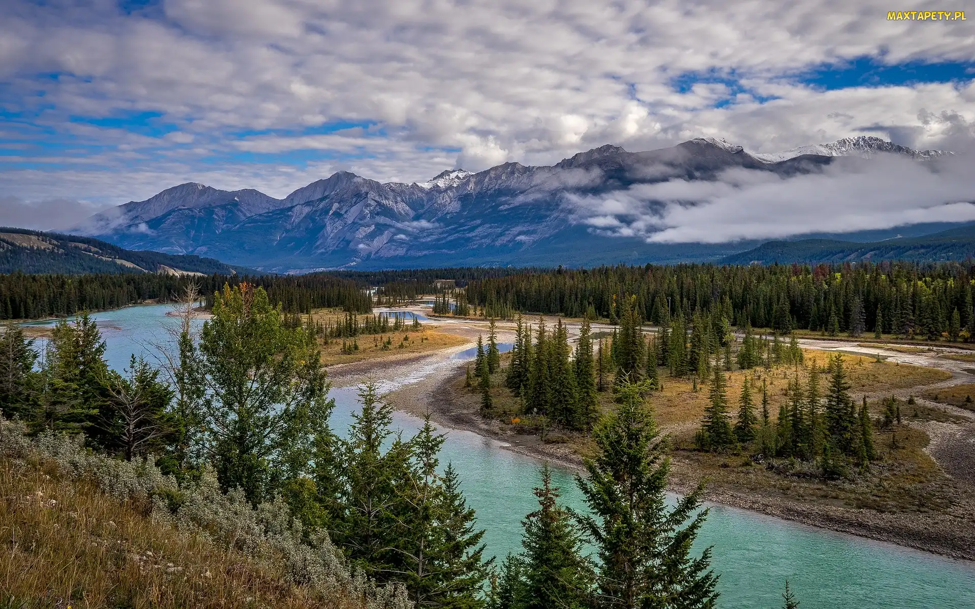 Kanada, Alberta, Rzeka Mietle, Góry, Świerki, Park Narodowy Jasper