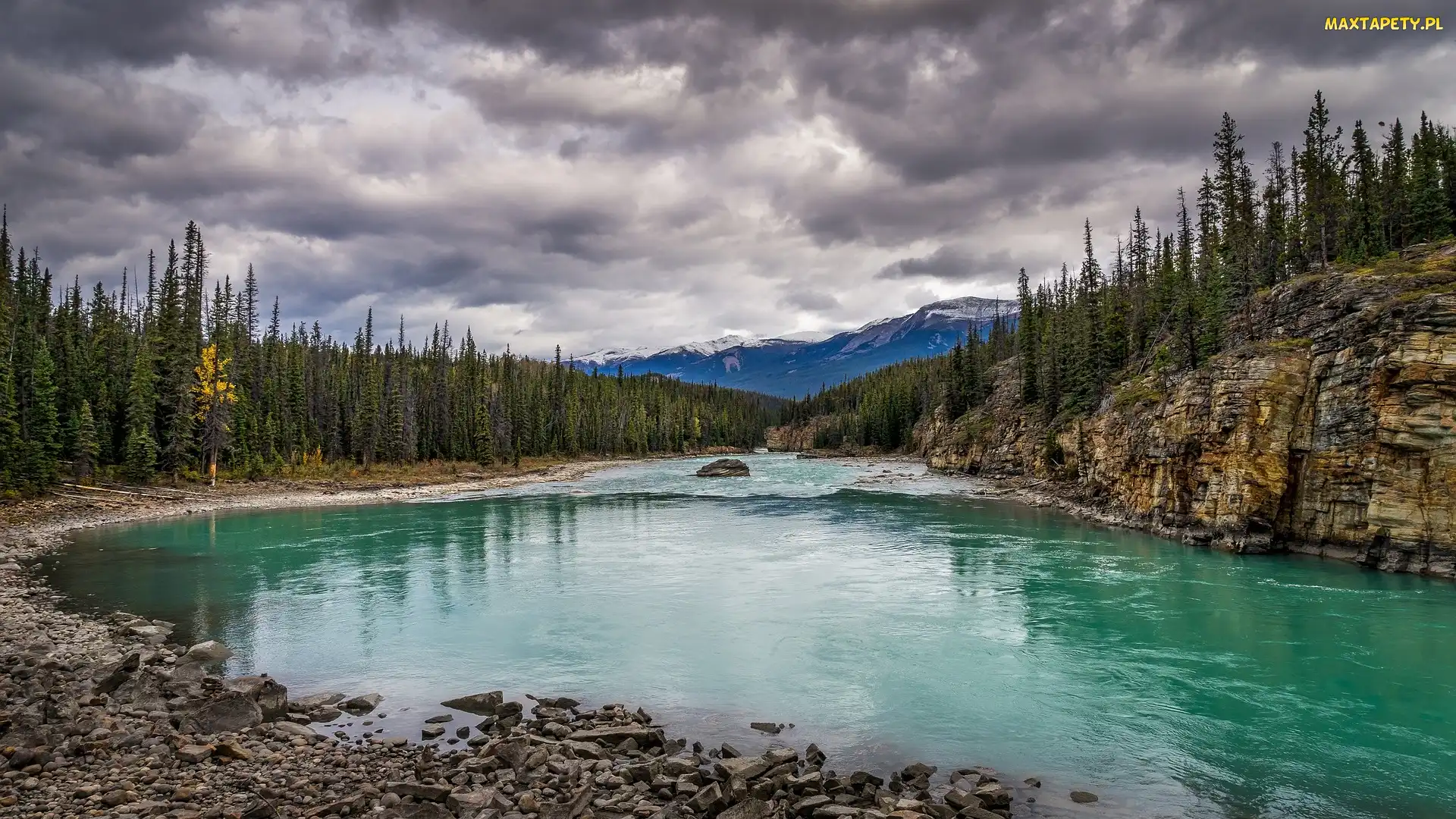 Góry, Kamienie, Rzeka Athabaskana, Świerki, Alberta, Skały, Kanada, Park Narodowy Jasper