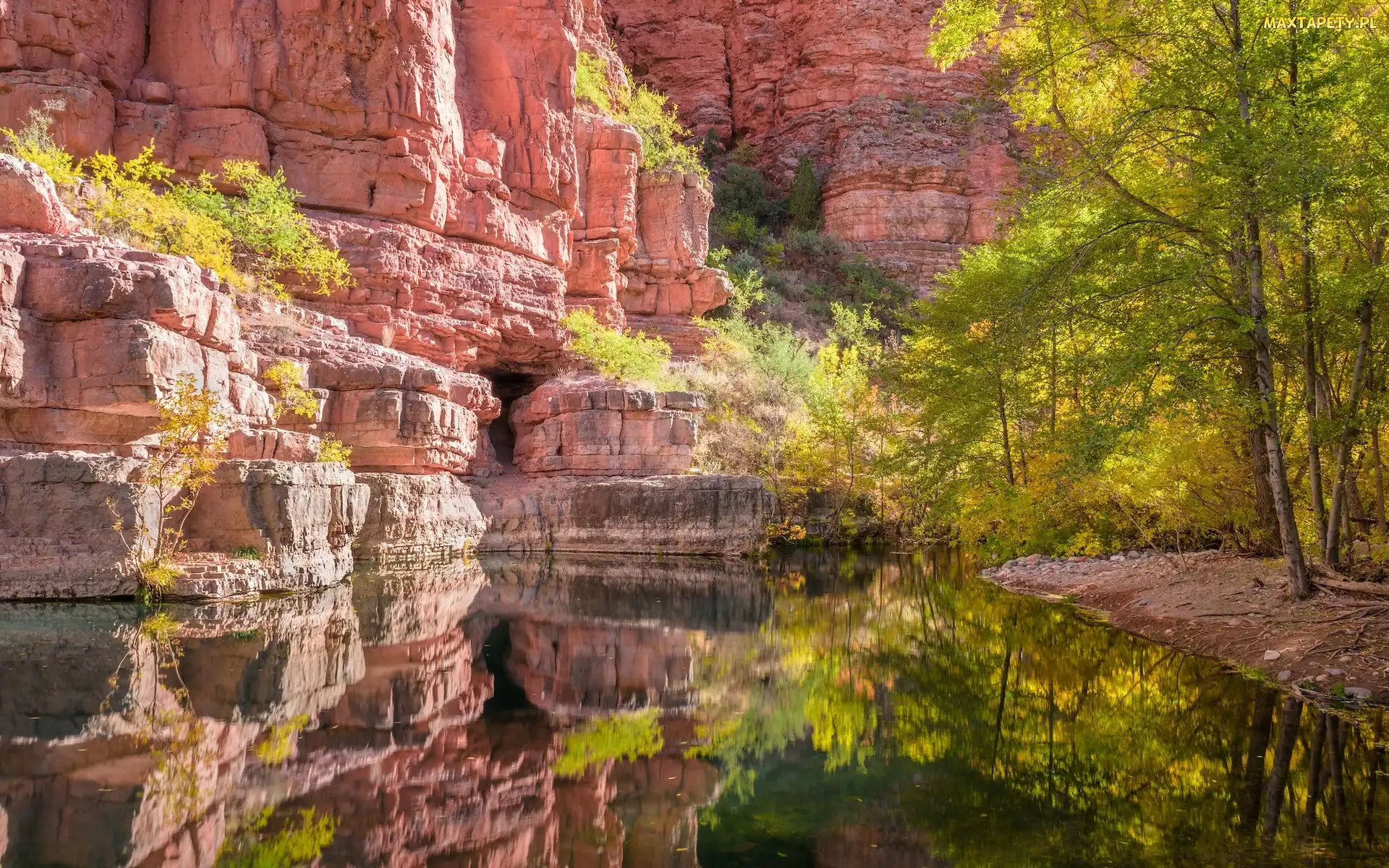 Arizona, Kanion Sycamore, Skały, Stany Zjednoczone, Rzeka, Góry, Drzewa