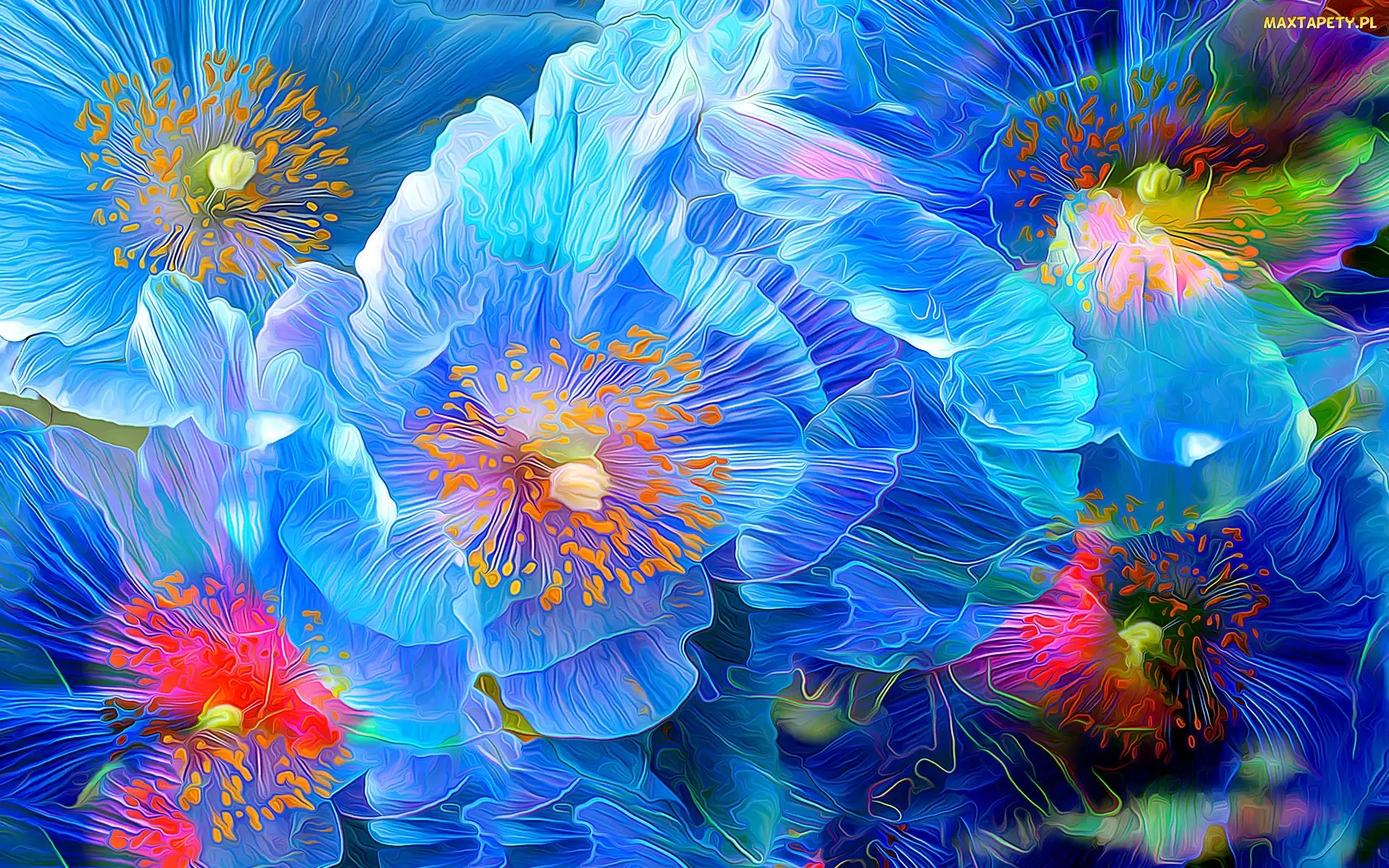 Kwiaty, Fractalius, Kolorowe, Płatki