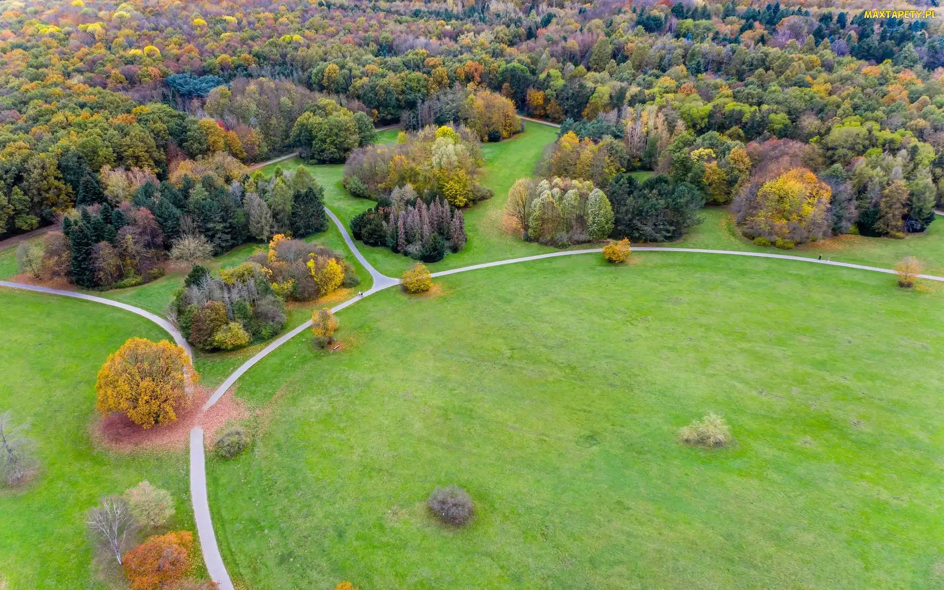 Park, Z lotu ptaka, Drzewa, Ścieżki, Alejki