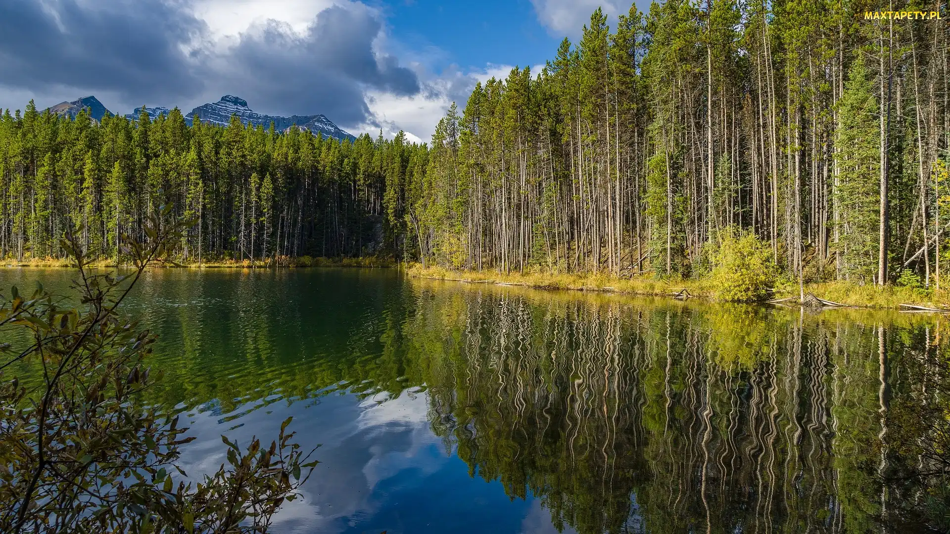 Odbicie, Gór, Las, Jezioro, Drzewa, Szczyty