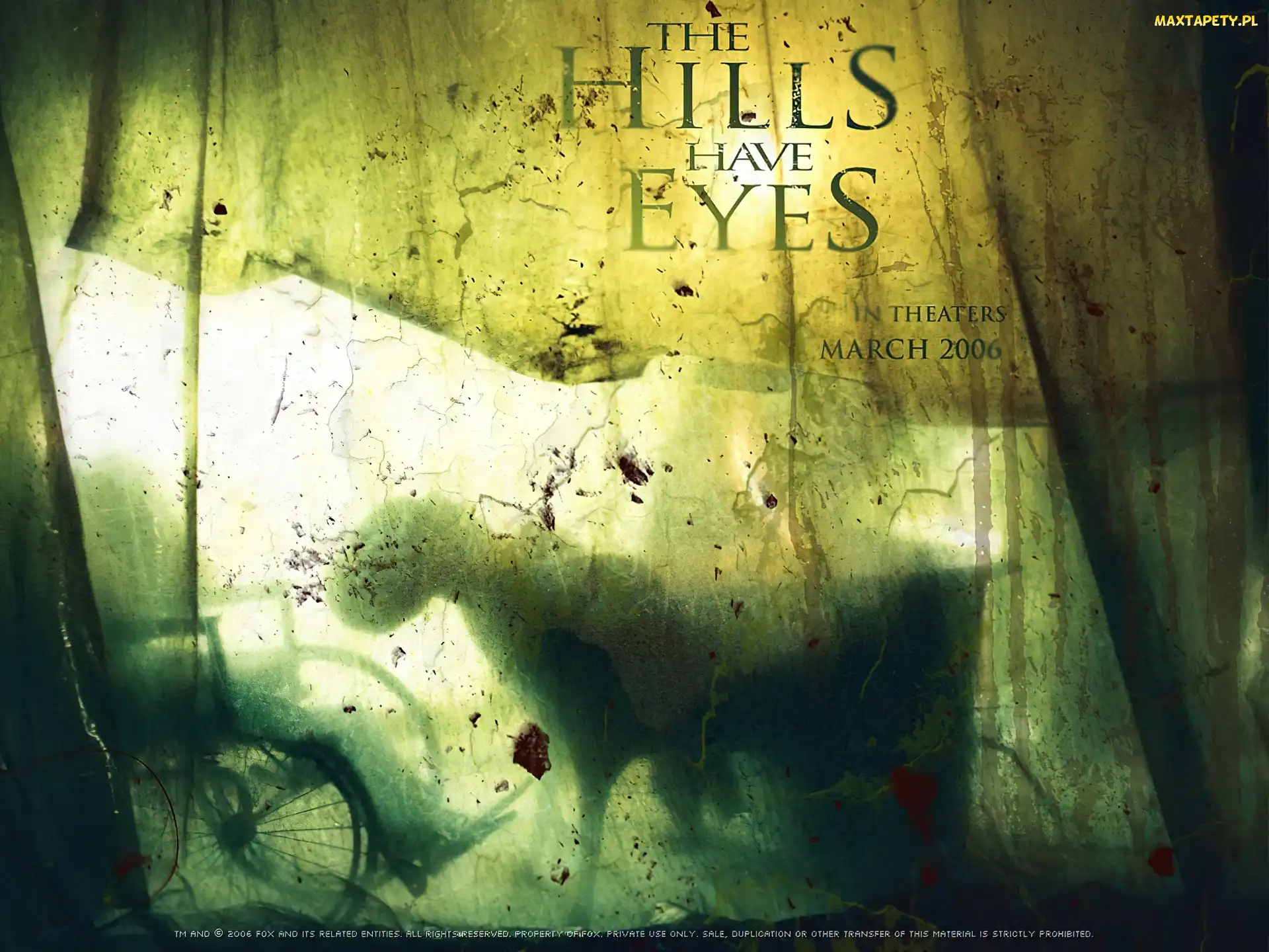 wózek inwalidzki, wodogłowie, The Hills Have Eyes, krew