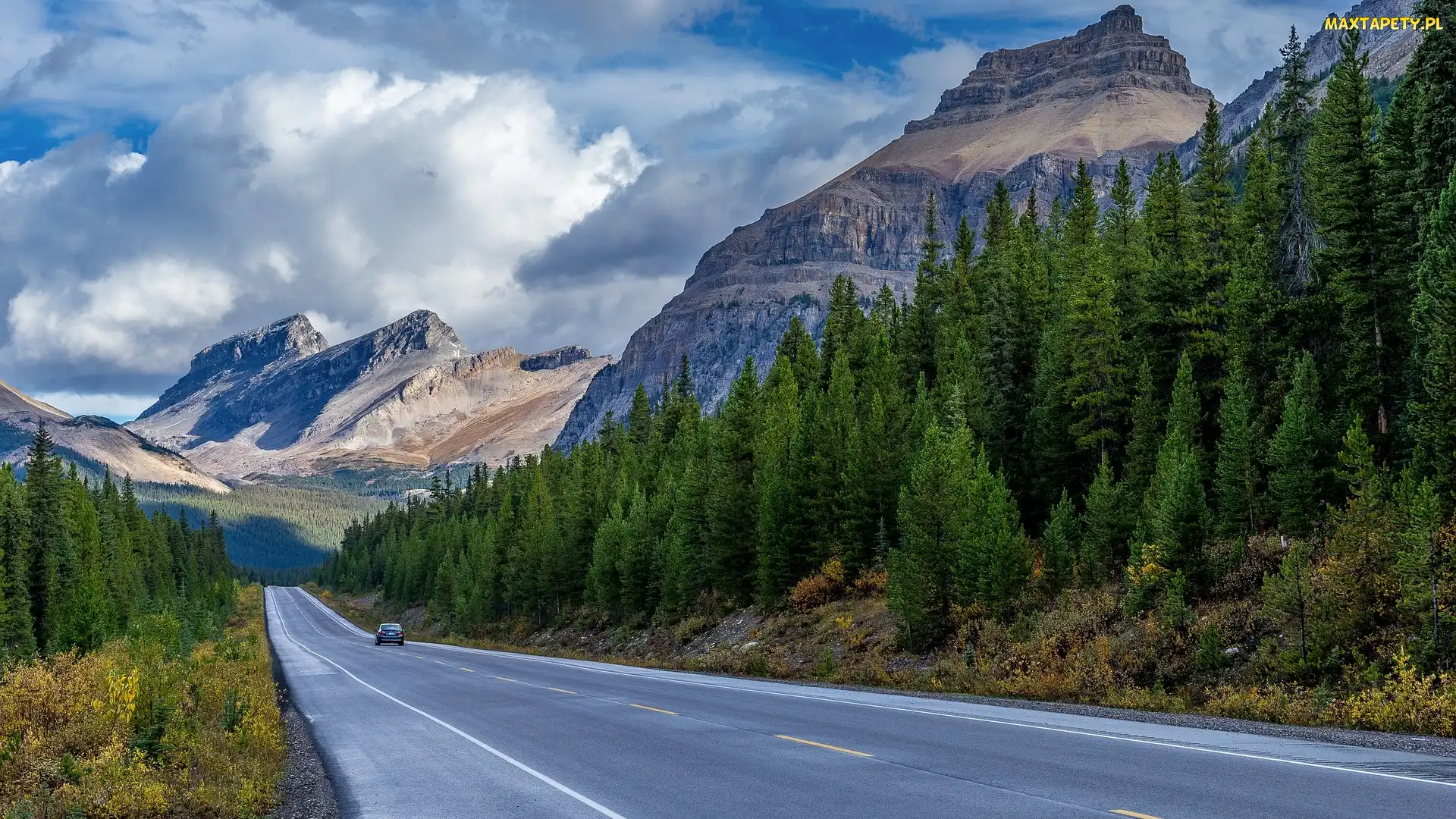 Las, Droga, Góry Skaliste, Kanada, Świerki, Drzewa, Prowincja Alberta, Samochód
