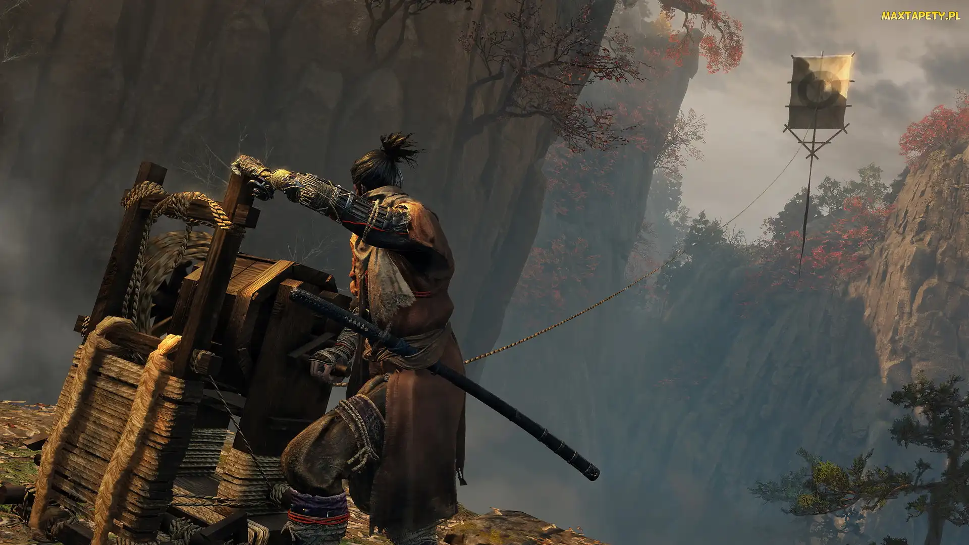 Jednoręki wilk, Sekiro, Sekiro Shadows Die Twice, Postać