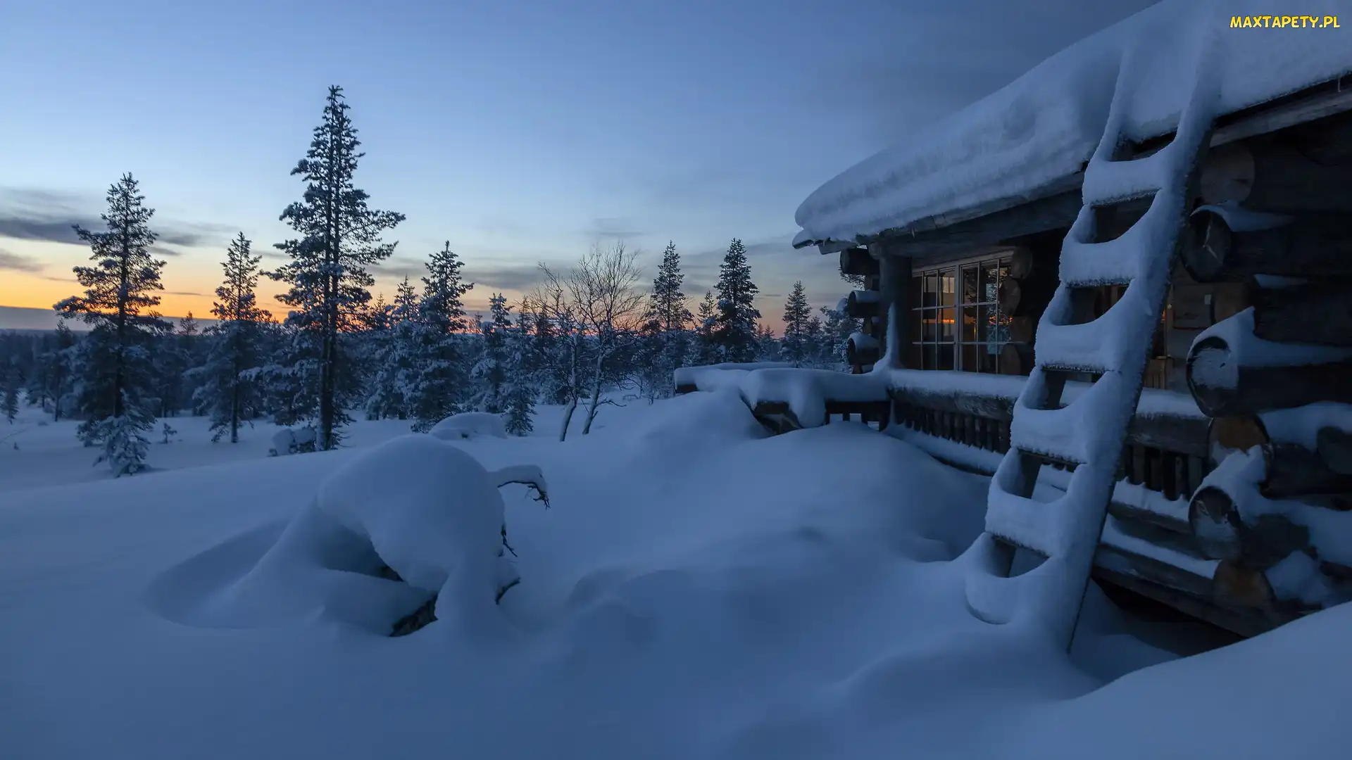 Ośnieżony, Drabina, Wieś Saariselka, Zima, Finlandia, Gmina Inari, Drzewa, Laponia, Dom