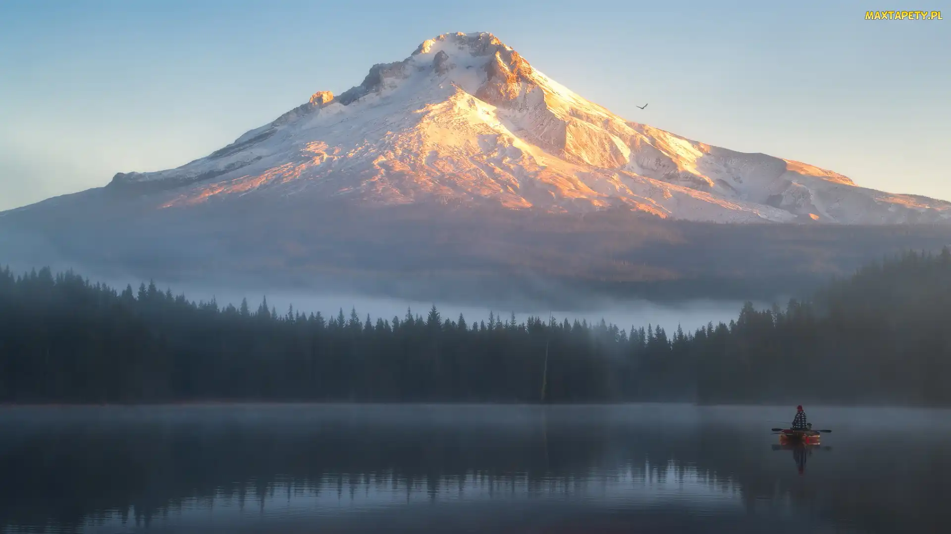 Jezioro, Rybak, Stratowulkan, Mgła, Łódka, Stany Zjednoczone, Góra, Stan Oregon, Poranek, Mount Hood, Lasy