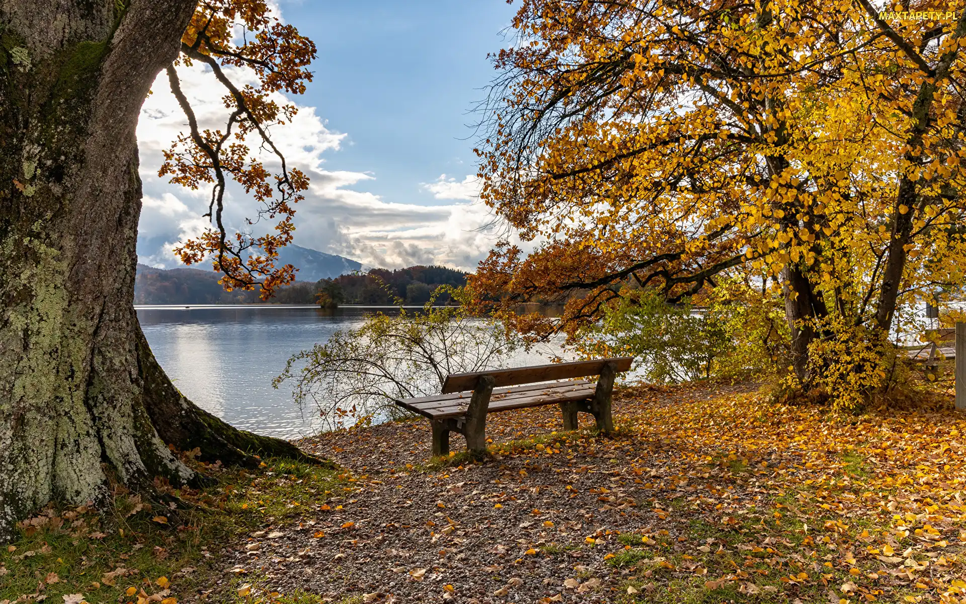 Jesień, Drzewa, Niemcy, Jezioro Staffelsee, Bawaria, Ławka