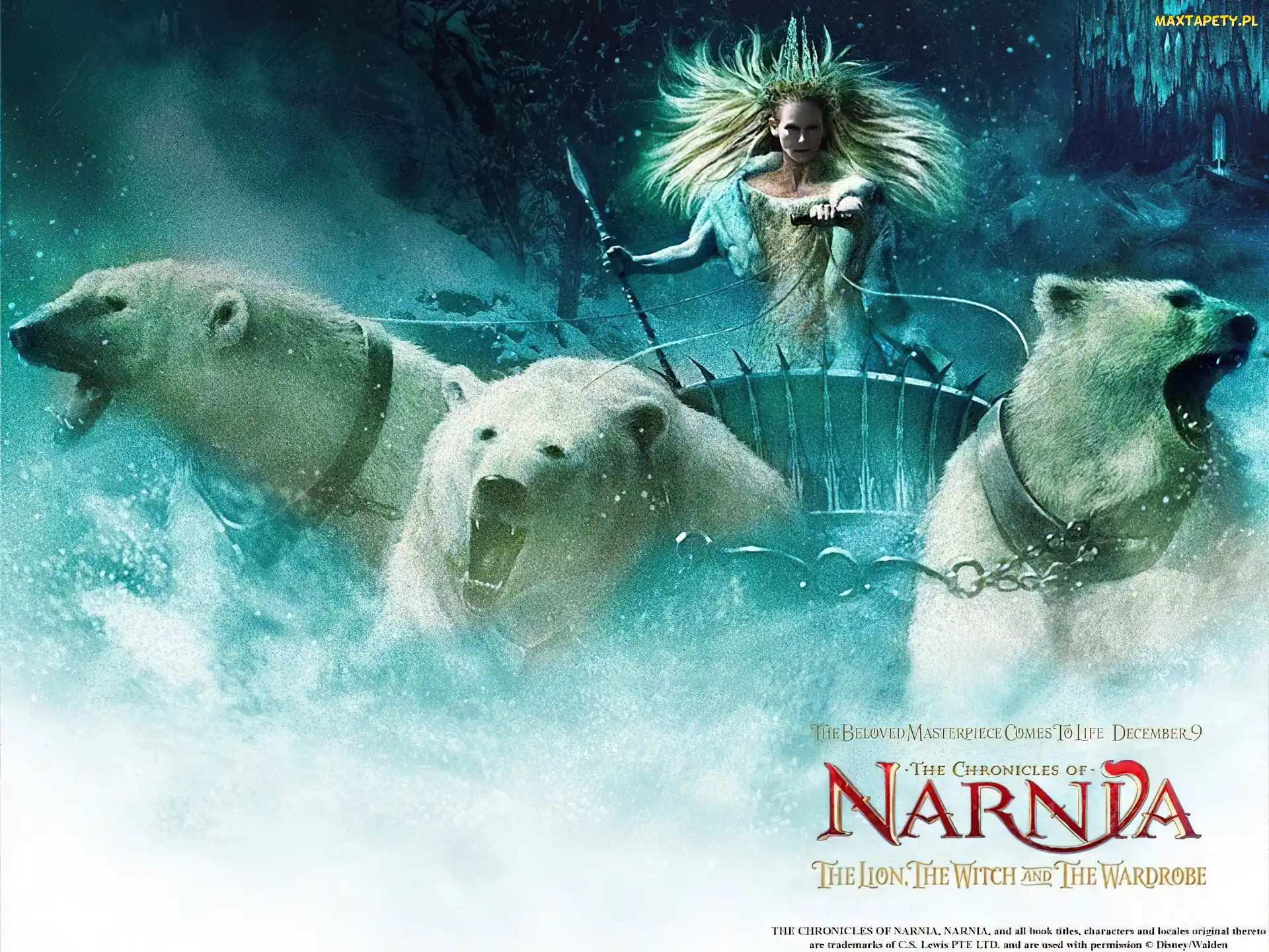 królowa śniegu, powóz, śnieg, niedźwiedzie, The Chronicles Of Narnia