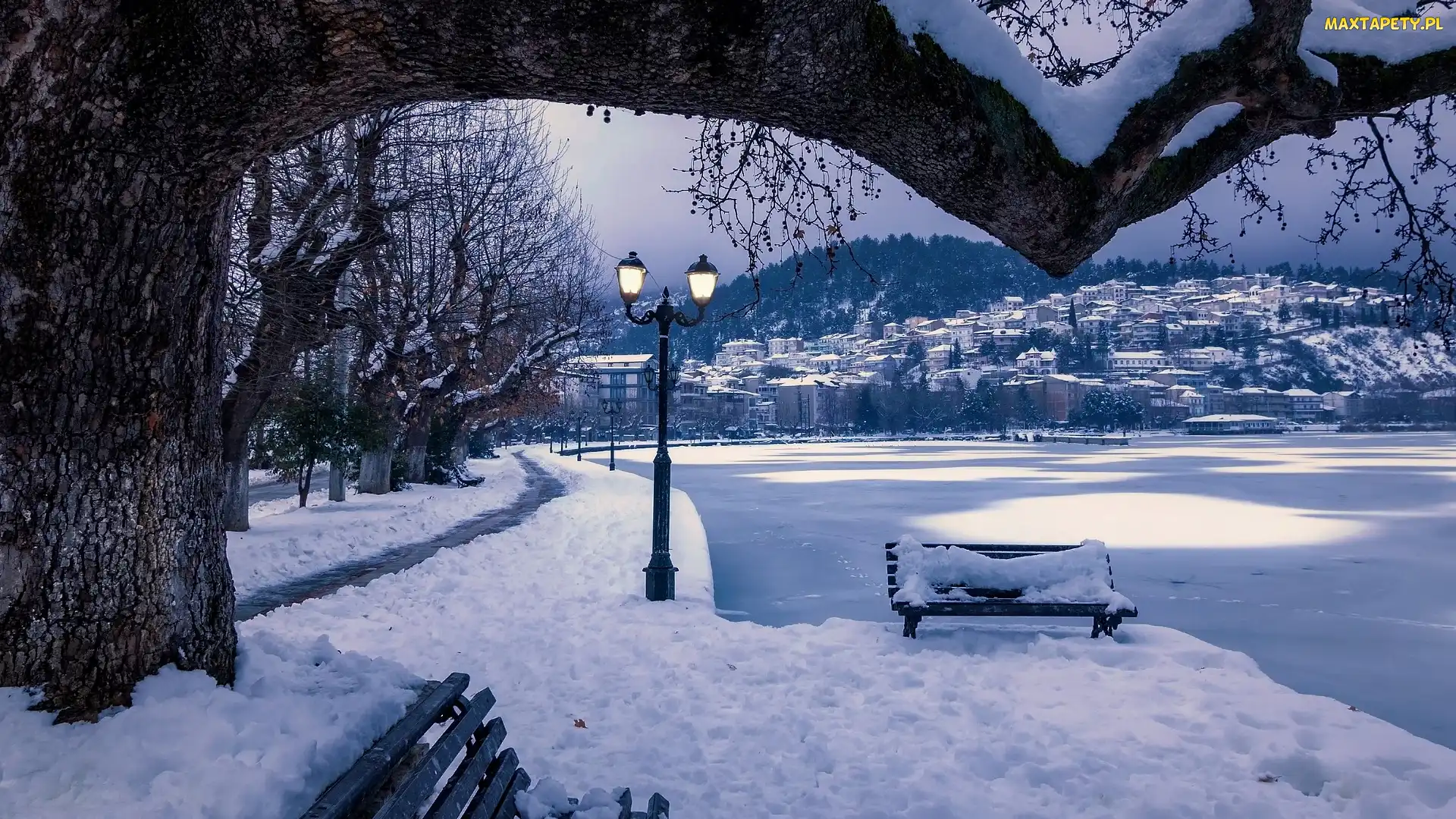 Park, Jezioro, Ławka, Latarnia, Zima