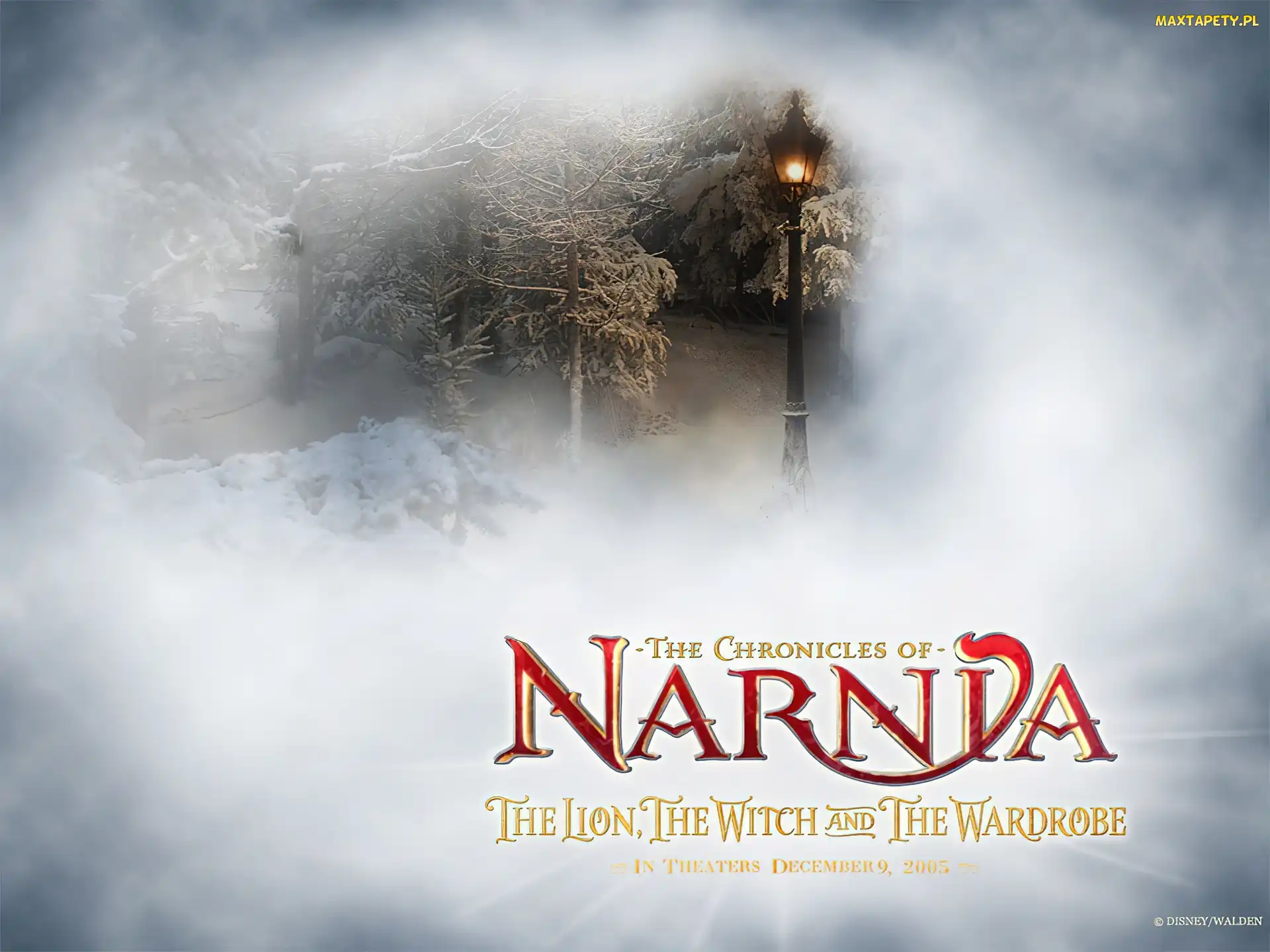 zima, napis, latarnia, las, The Chronicles Of Narnia