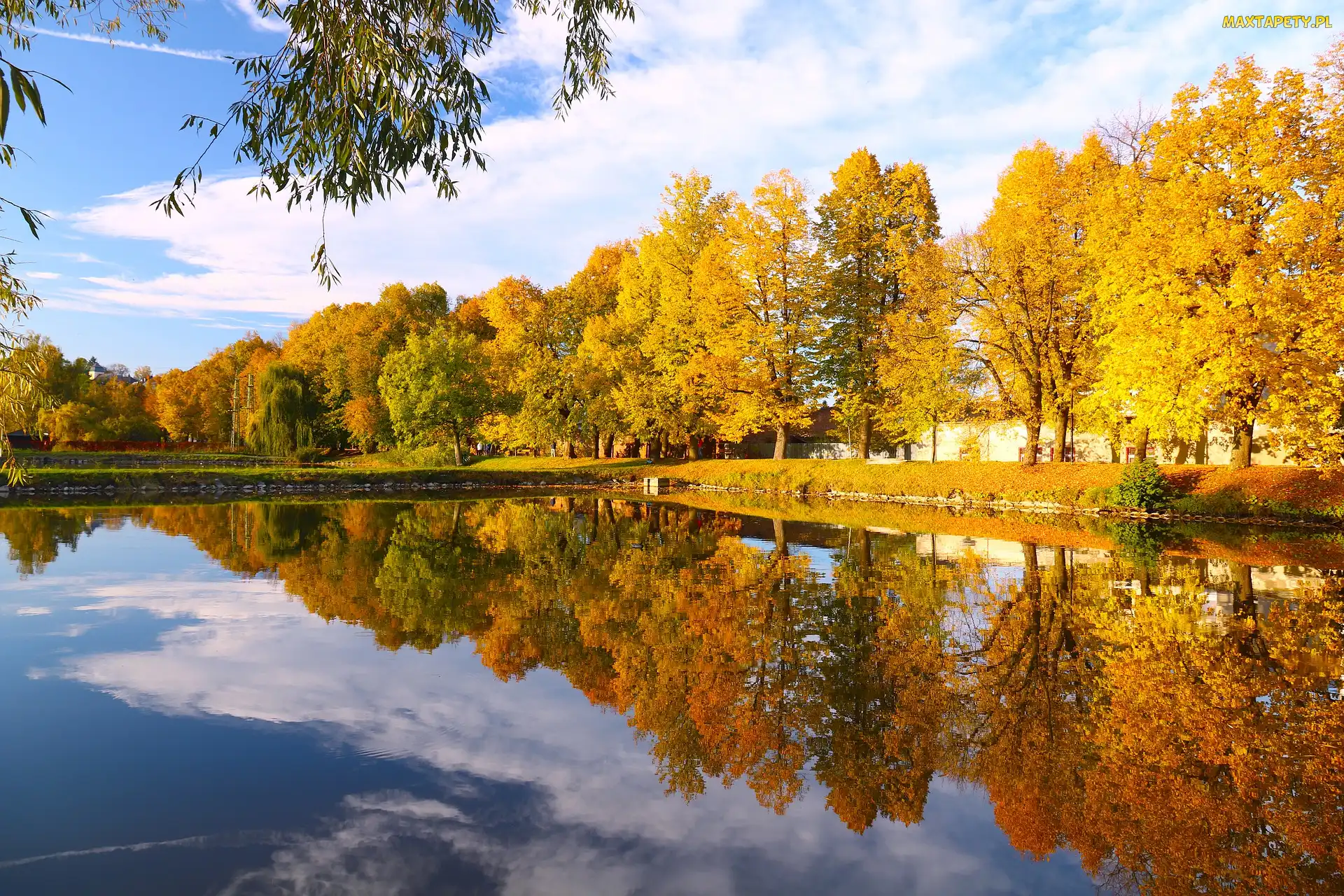 Jesień, Drzewa, Odbicie, Staw, Park