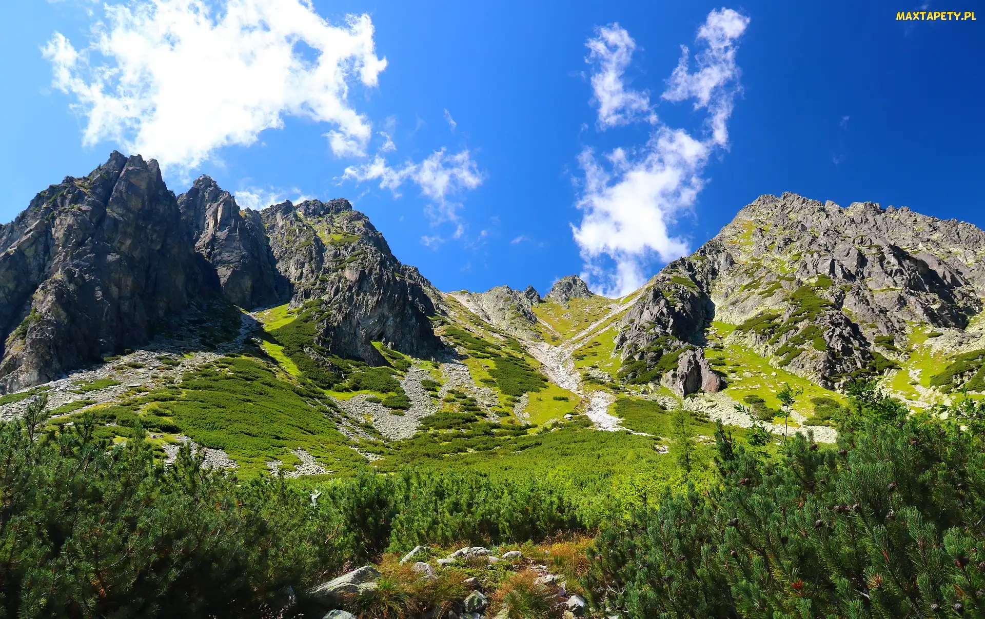 Słowacja, Lasy, Tatry, Góry, Szczyty, Drzewa