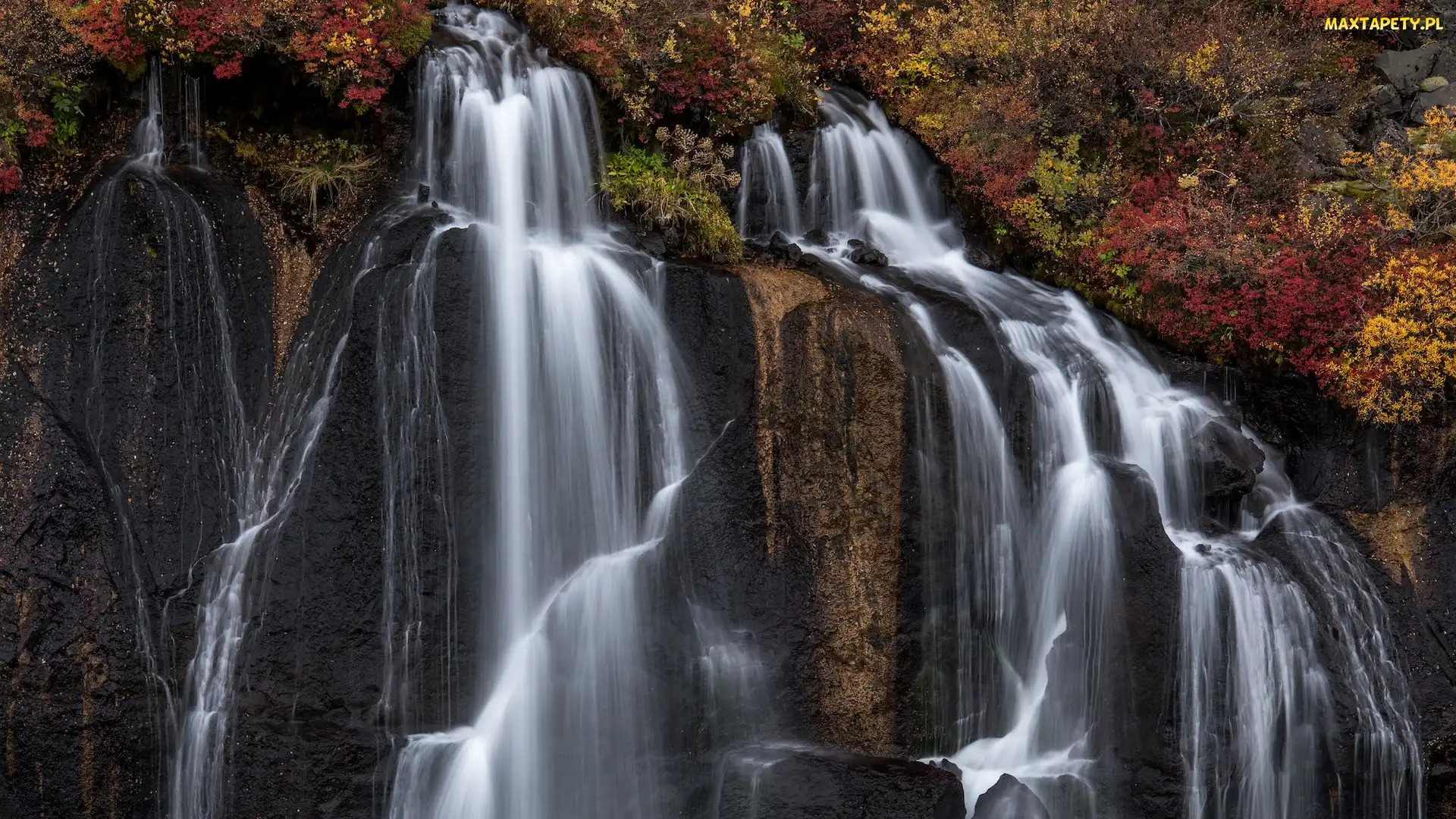 Islandia, Region Vesturland, Roślinność, Skały, Jesienna, Wodospad Hraunfossar