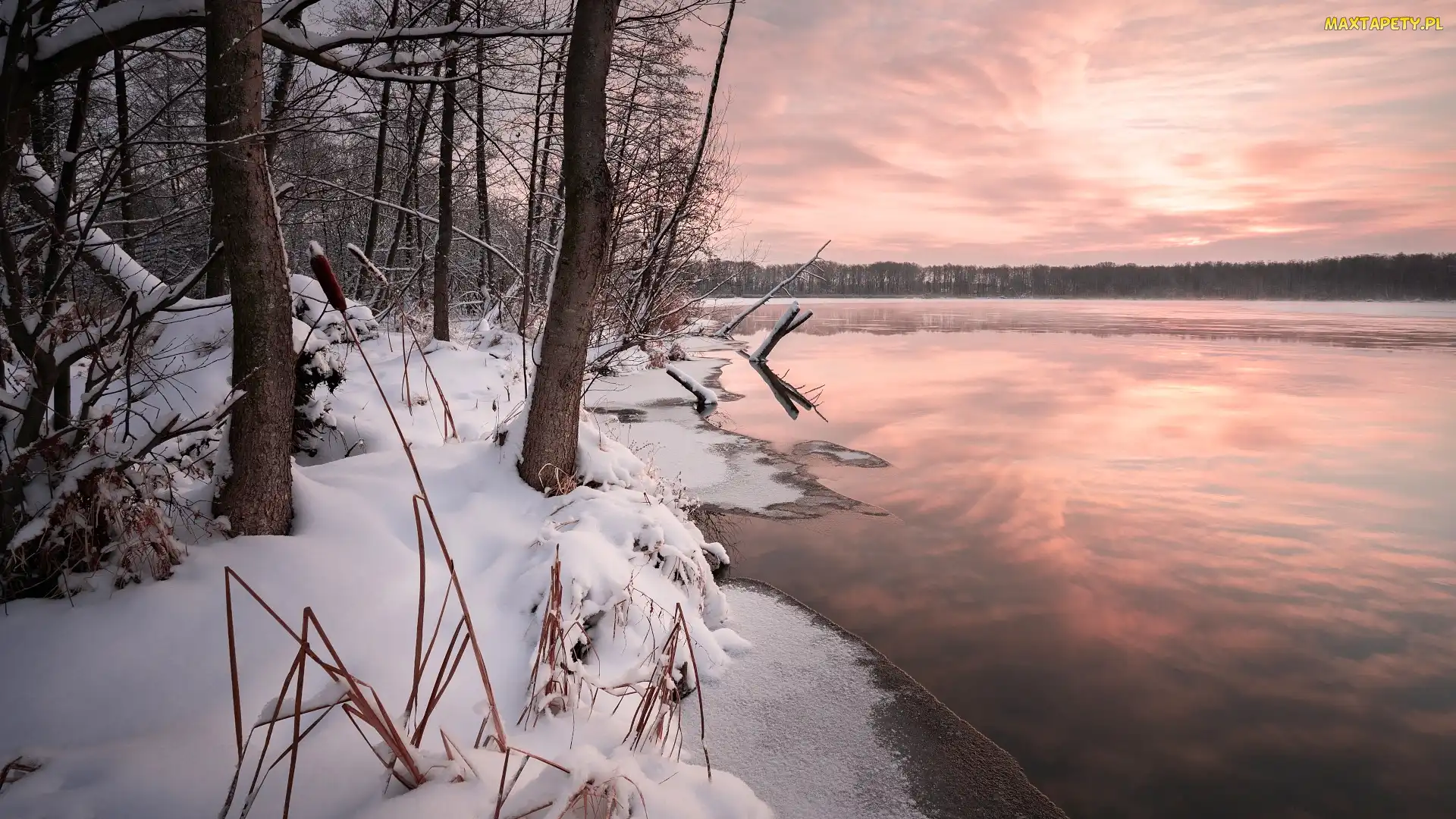 Jezioro, Śnieg, Las, Zima, Drzewa, Brzeg