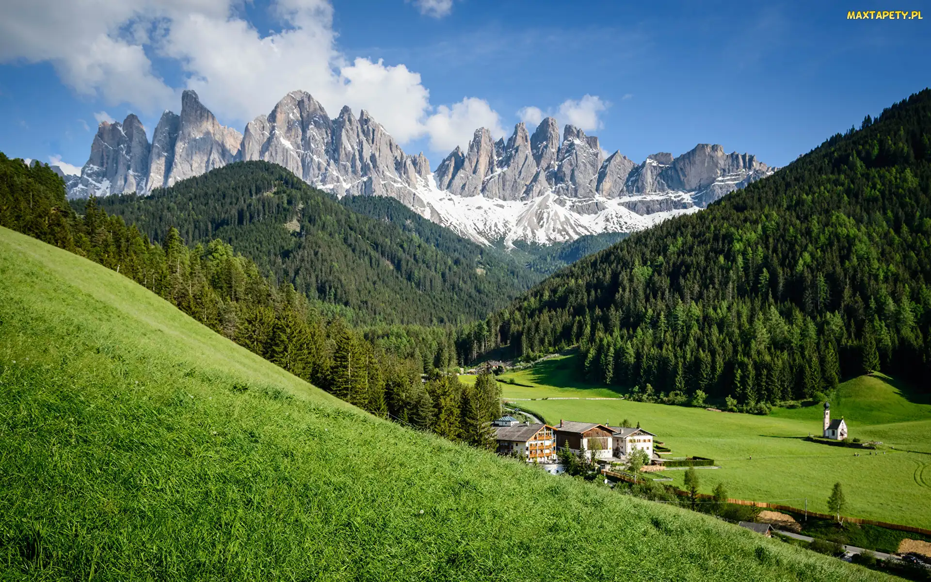 Trawa, Dolina Val di Funes, Santa Maddalena, Drzewa, Góry, Południowy Tyrol, Dolomity, Masyw Odle, Włochy, Wieś