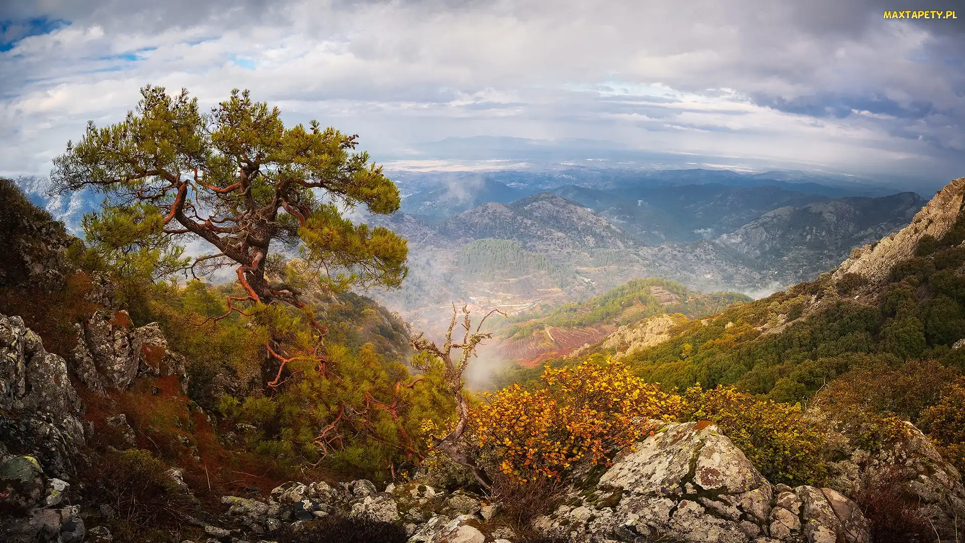 Góry, Troodos, Cypr, Sosna, Zachód słońca, Kamienie