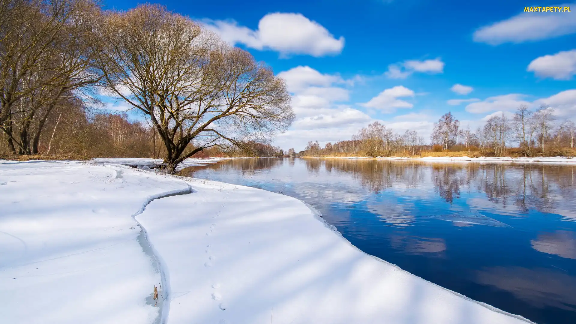 Estonia, Prowincja Tartu, Drzewa, Zima, Rzeka, Emajogi River