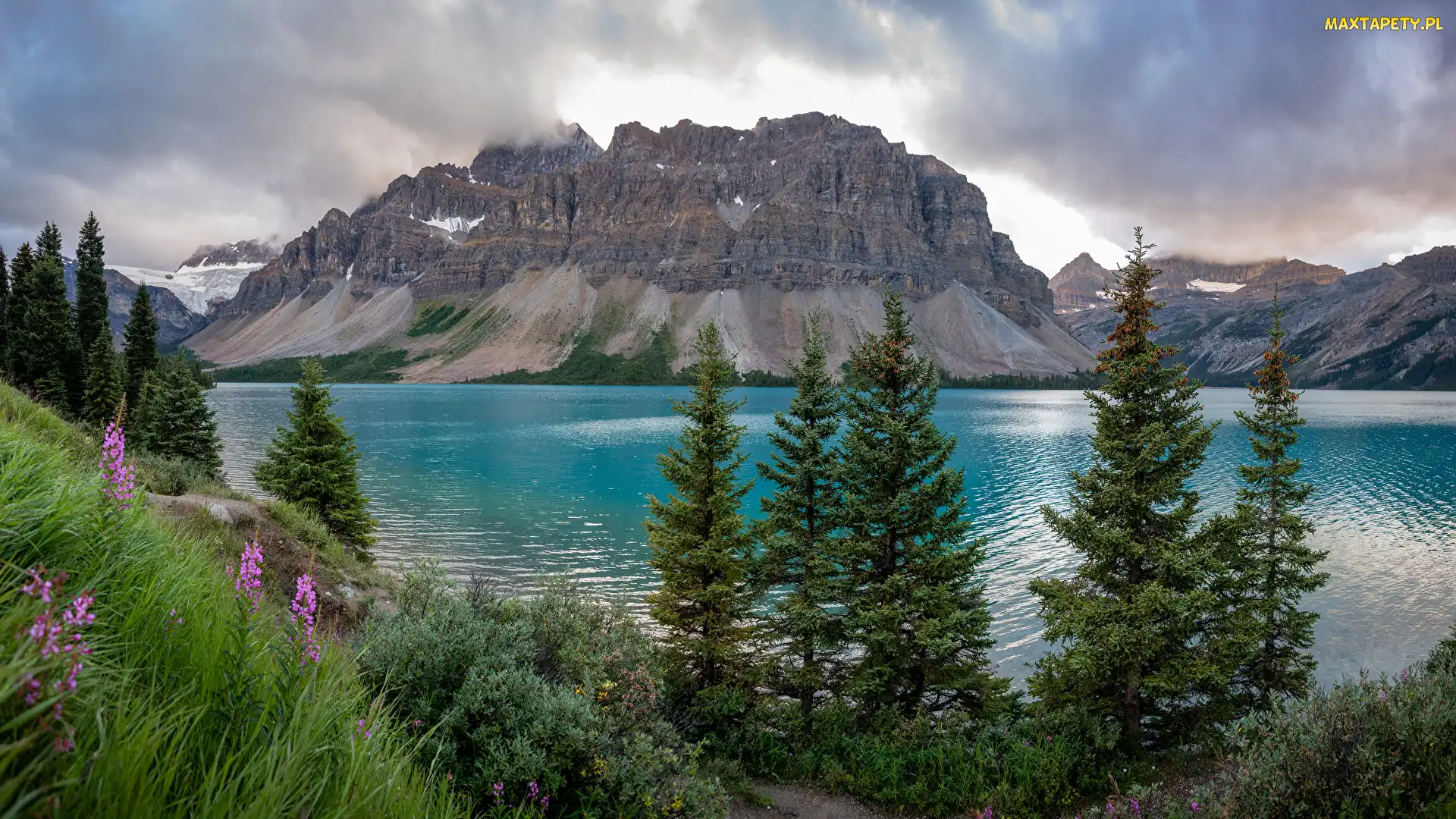 Drzewa, Bow Lake, Park Narodowy Banff, Alberta, Góry, Kanada, Jezioro, Trawa, Świerki, Kwiaty, Góra Crowfoot Mountain