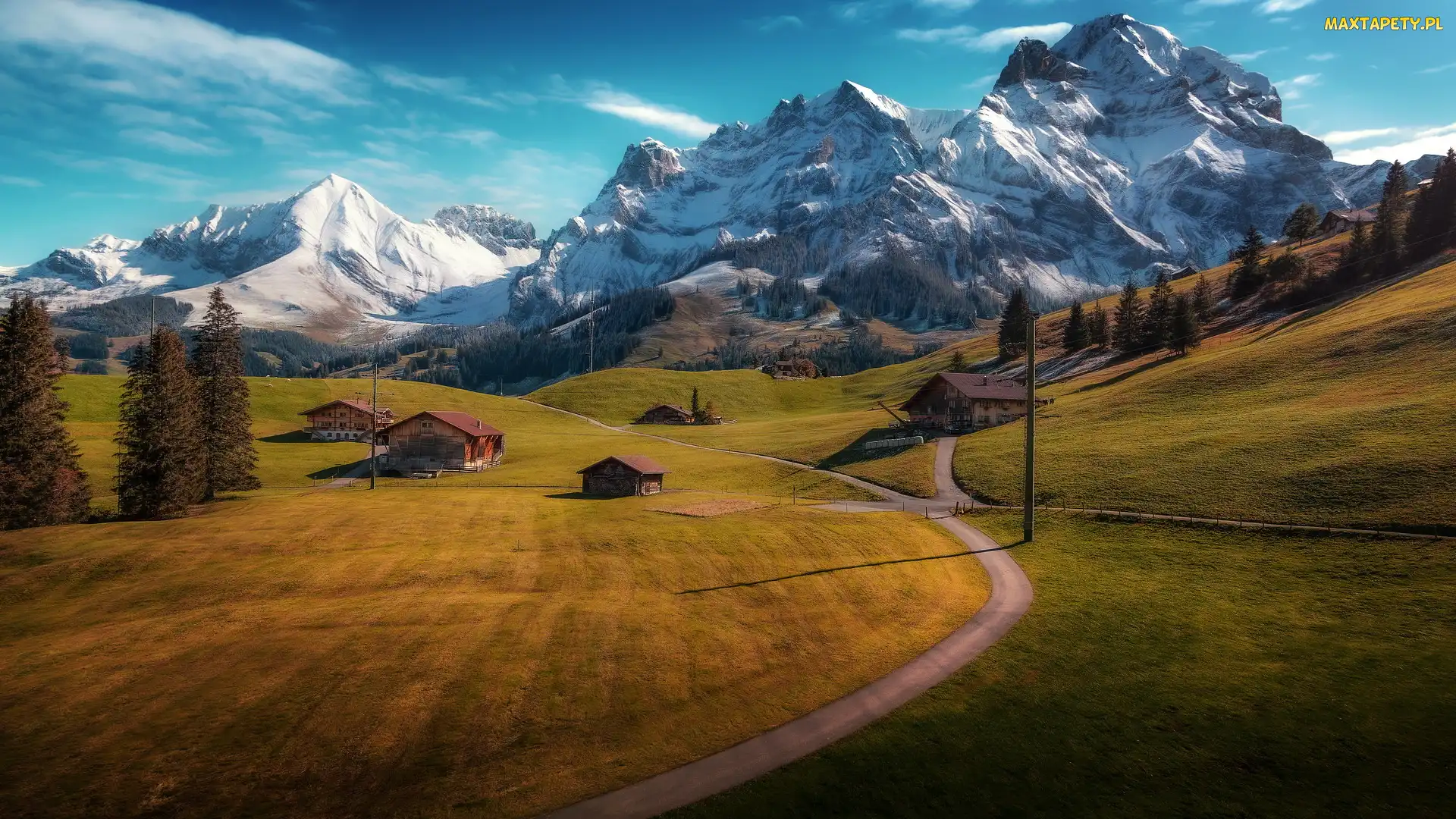 Szwajcaria, Adelboden, Drogi, Kanton Berno, Pola, Alpy Berneńskie, Łąki, Drzewa, Góry, Domy