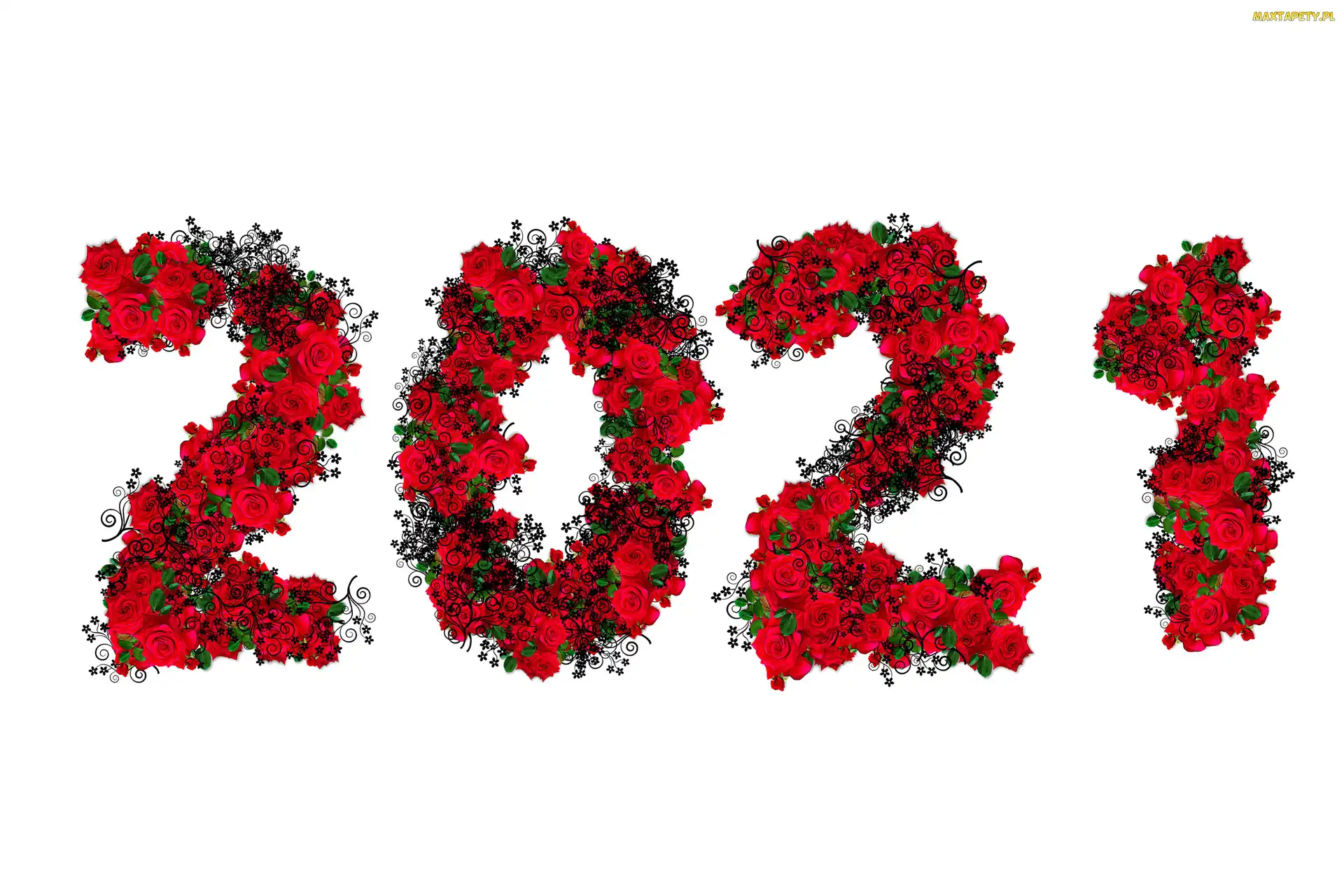 2021, Róże, Nowy Rok