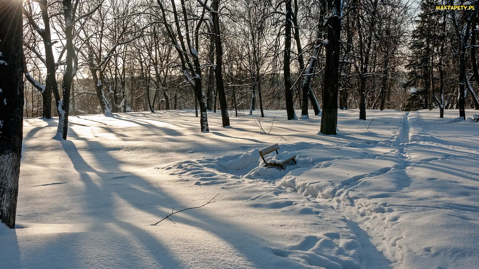 Zima, Las, Ślady, Zaśnieżona, Ławka, Drzewa