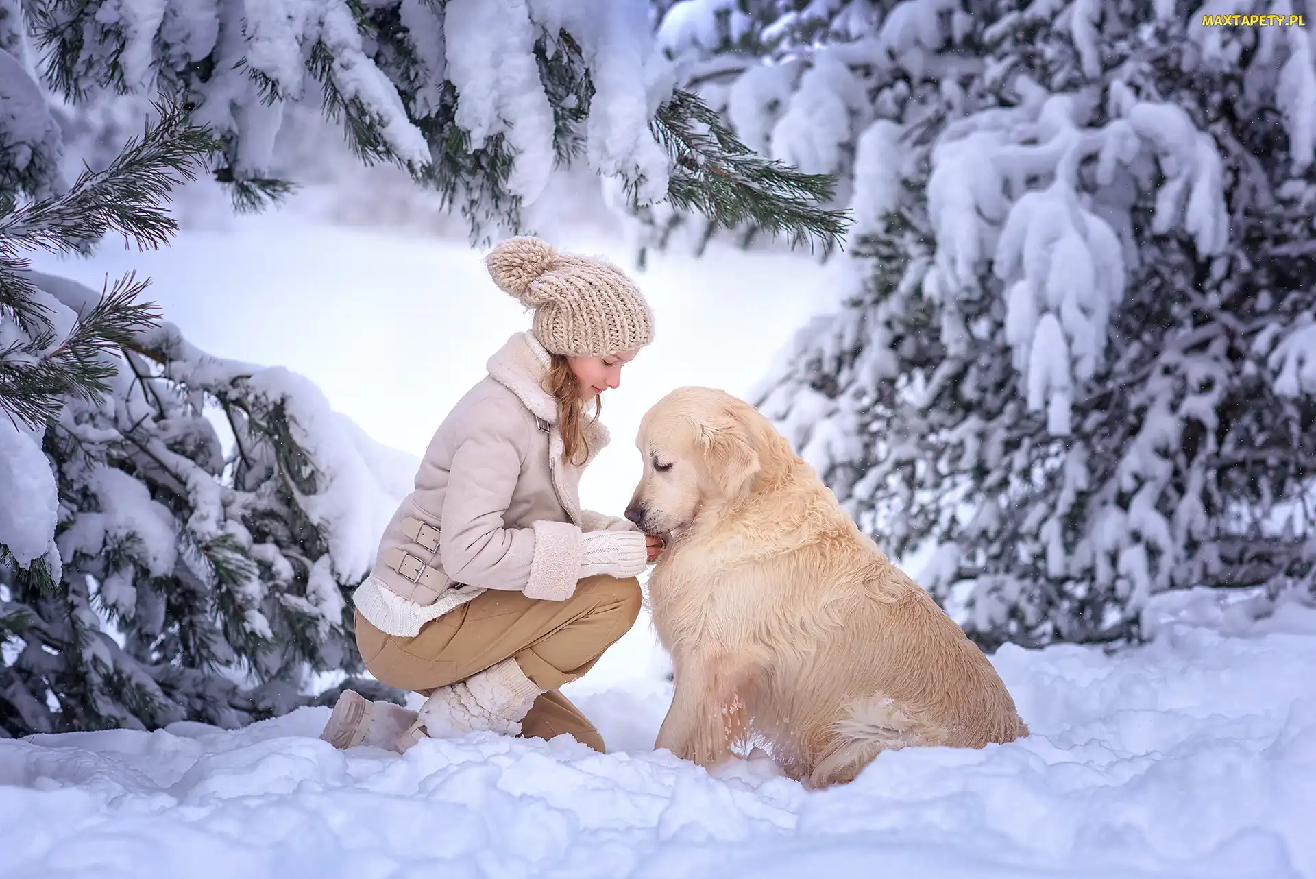 Zima, Drzewa, Golden retriever, Dziewczynka, Pies, Śnieg