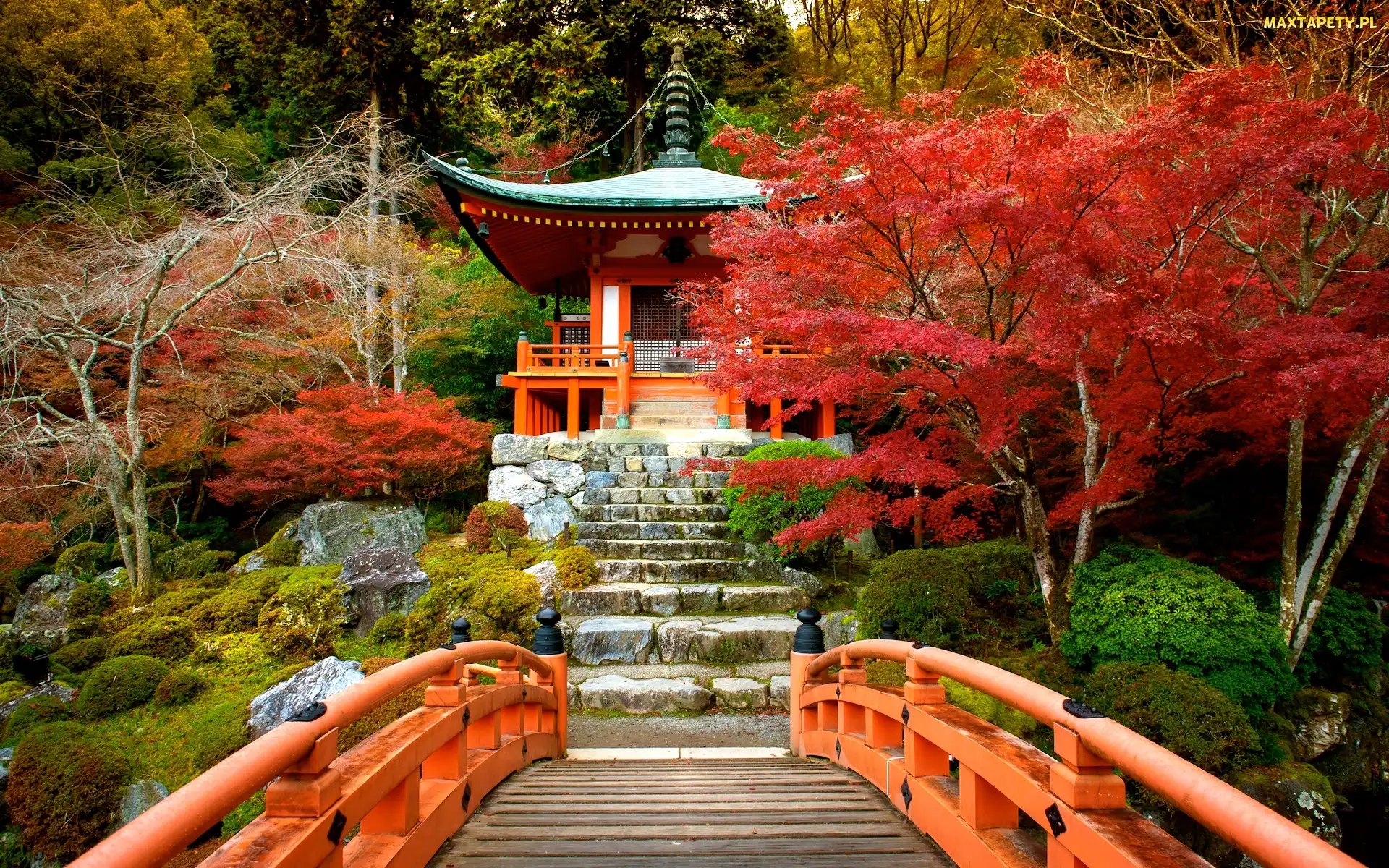 Kioto, Kompleks Daigo-ji, Japonia, Bentendo Temple, Mostek, Świątynia, Jesień, Drzewa
