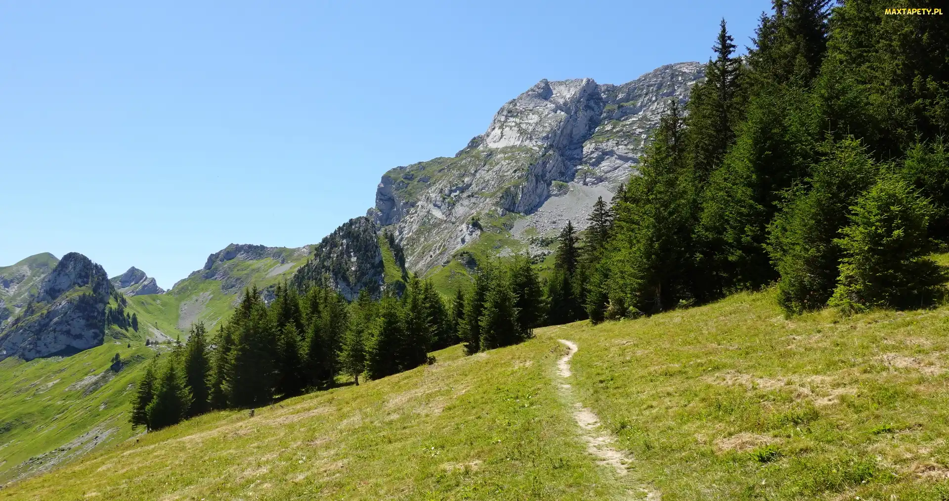 Góry, Ścieżka, Las, Drzewa