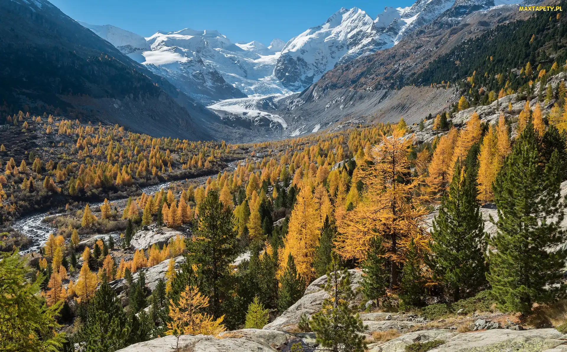 Góry, Drzewa, Jesień, Żółte, Kanton Gryzonia, Skały, Szwajcaria, Lodowiec Morteratschgletscher