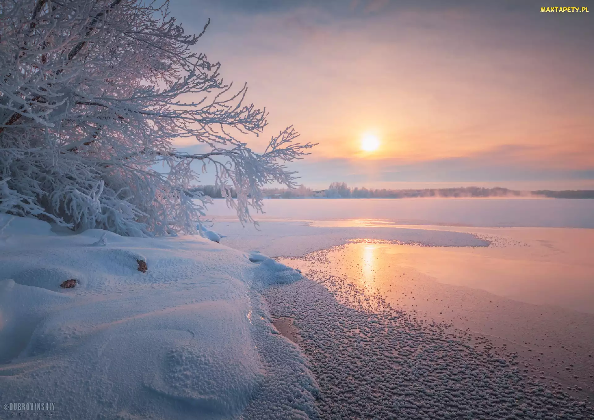 Wschód słońca, Śnieg, Jezioro, Zima, Krzewy, Lód