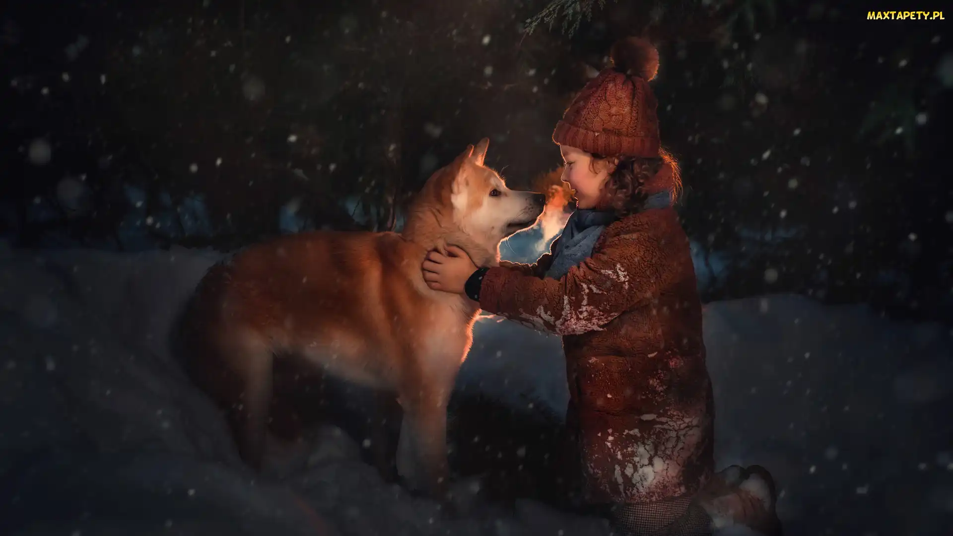 Pies, Zima, Śnieg, Akita inu, Dziewczynka