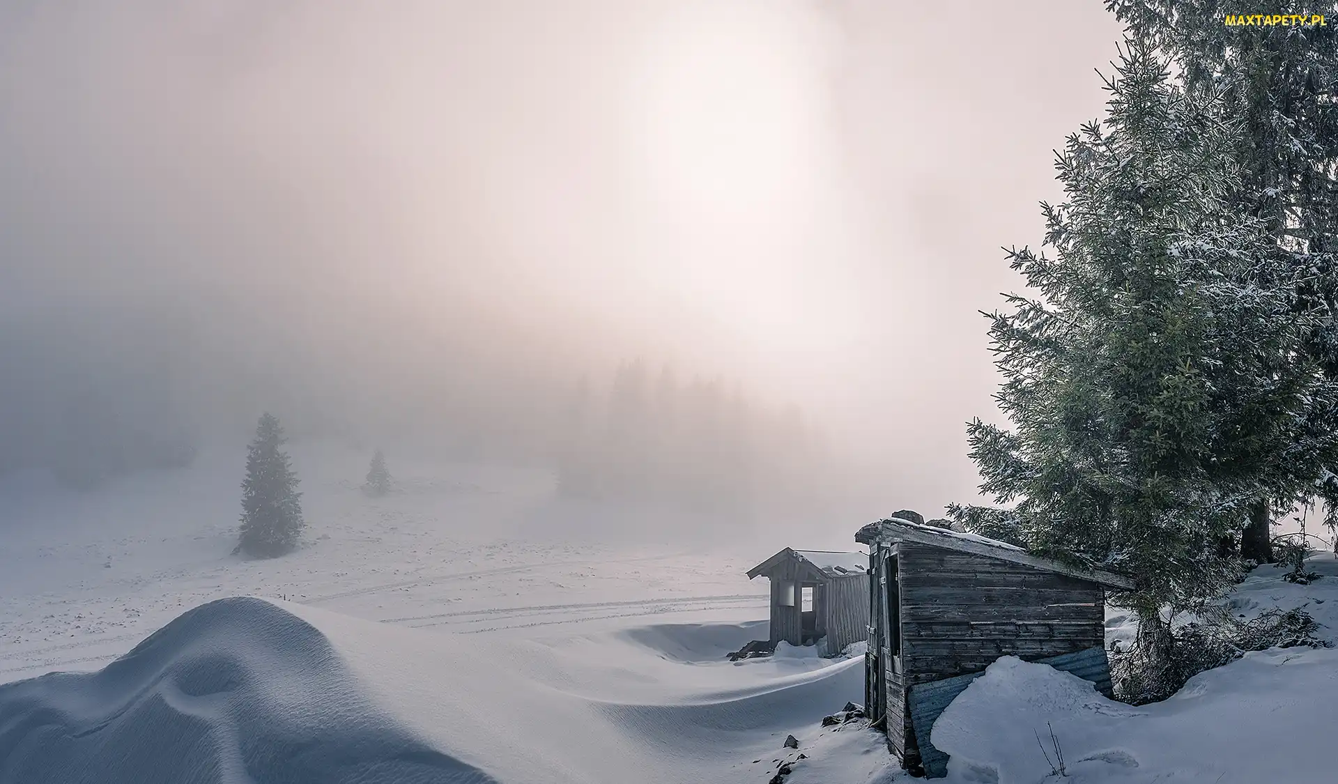 Śnieg, Mgła, Budki, Drzewa, Zima