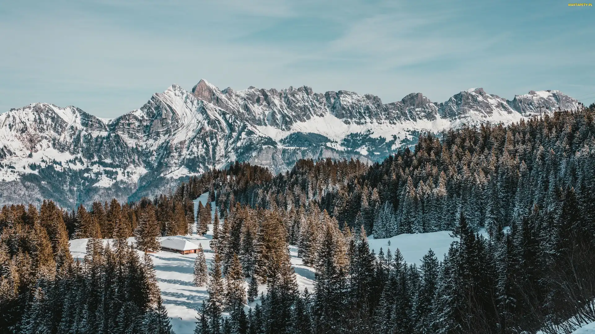 Zima, Śnieg, Góry, Dom, Las, Drzewa