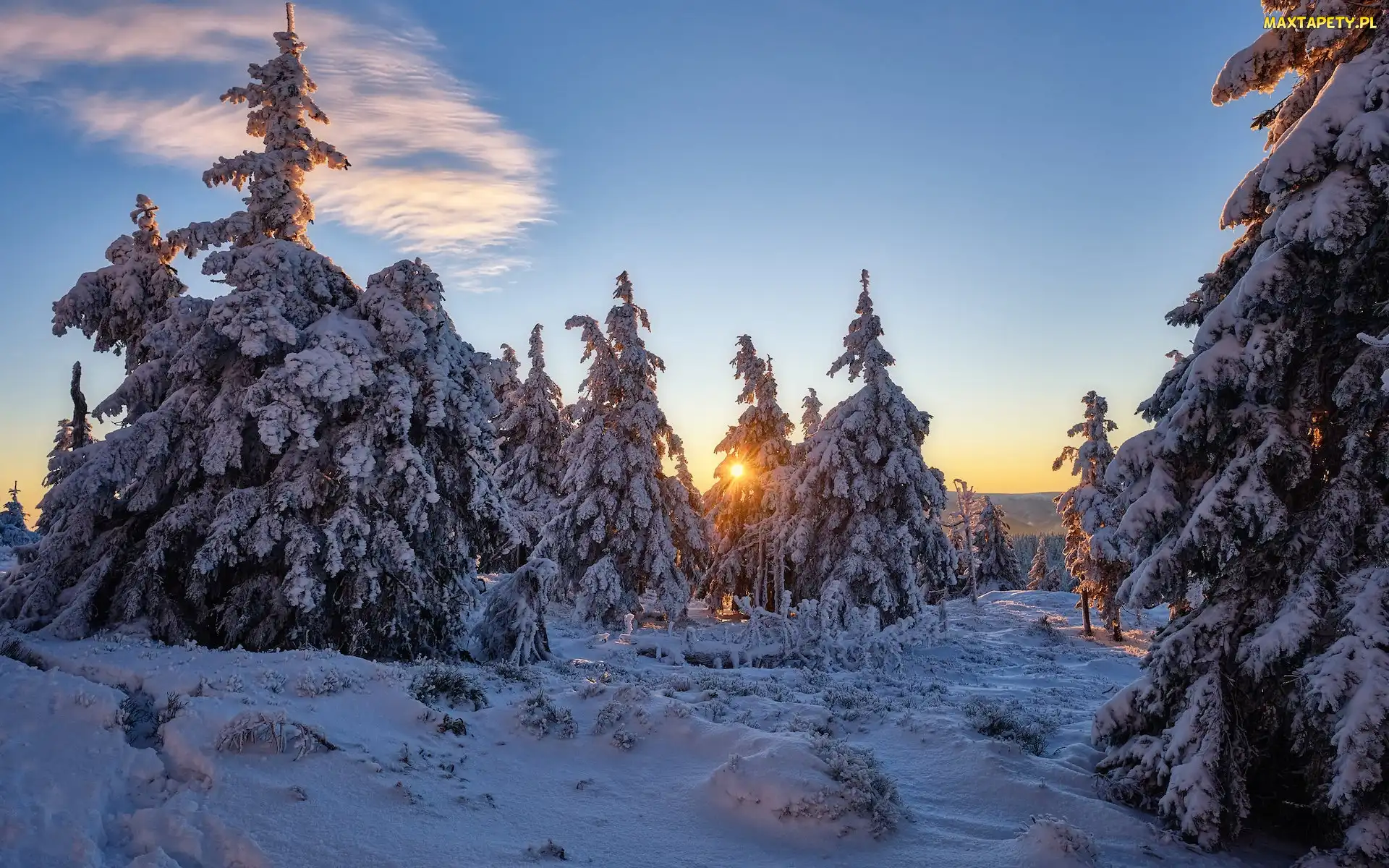 Śnieg, Chmura, Promienie słońca, Drzewa, Zima