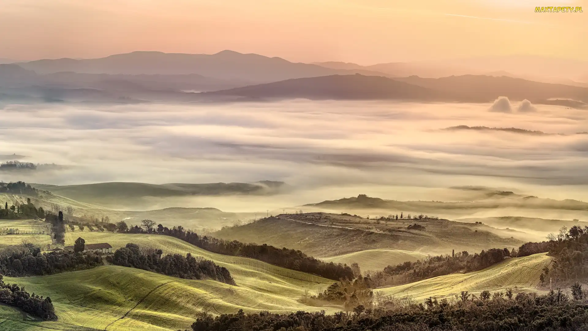 Val di Cecina, Toskania, Włochy, Mgła, Wzgórza, Pola, Poranek, Dolina