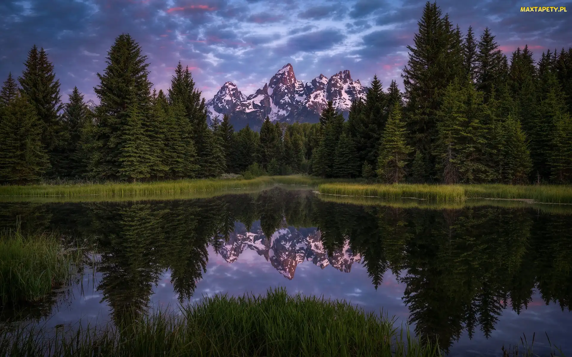 Snake River, Las, Stany Zjednoczone, Teton Range, Drzewa, Odbicie, Stan Wyoming, Chmury, Rzeka, Park Narodowy Grand Teton, Góry