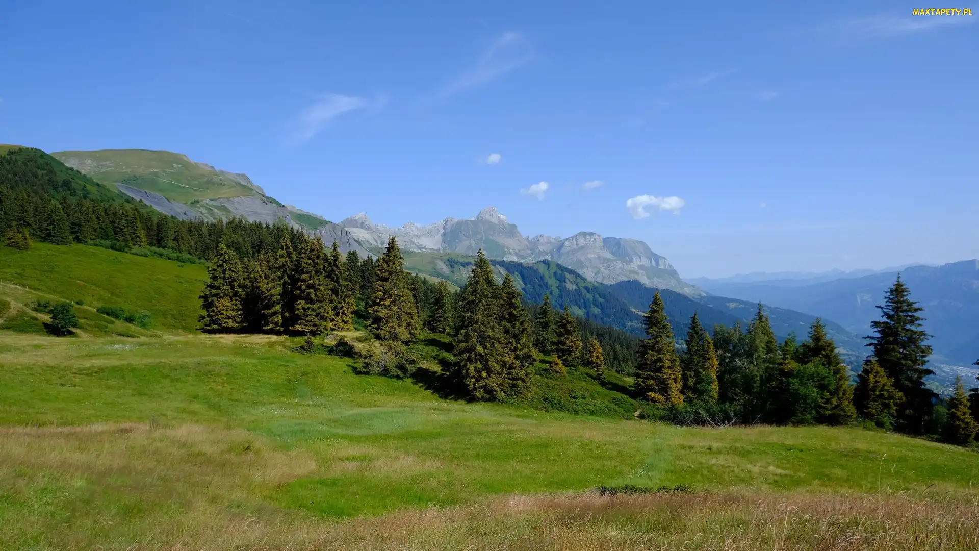 Drzewa, Trawa, Góry