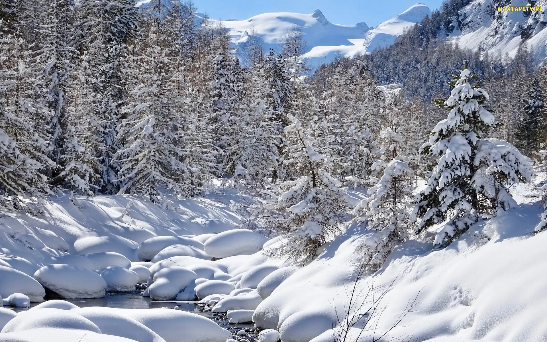 Kanton Gryzonia, Potok, Szwajcaria, Zima, Drzewa, Pontresina, Las, Śnieg