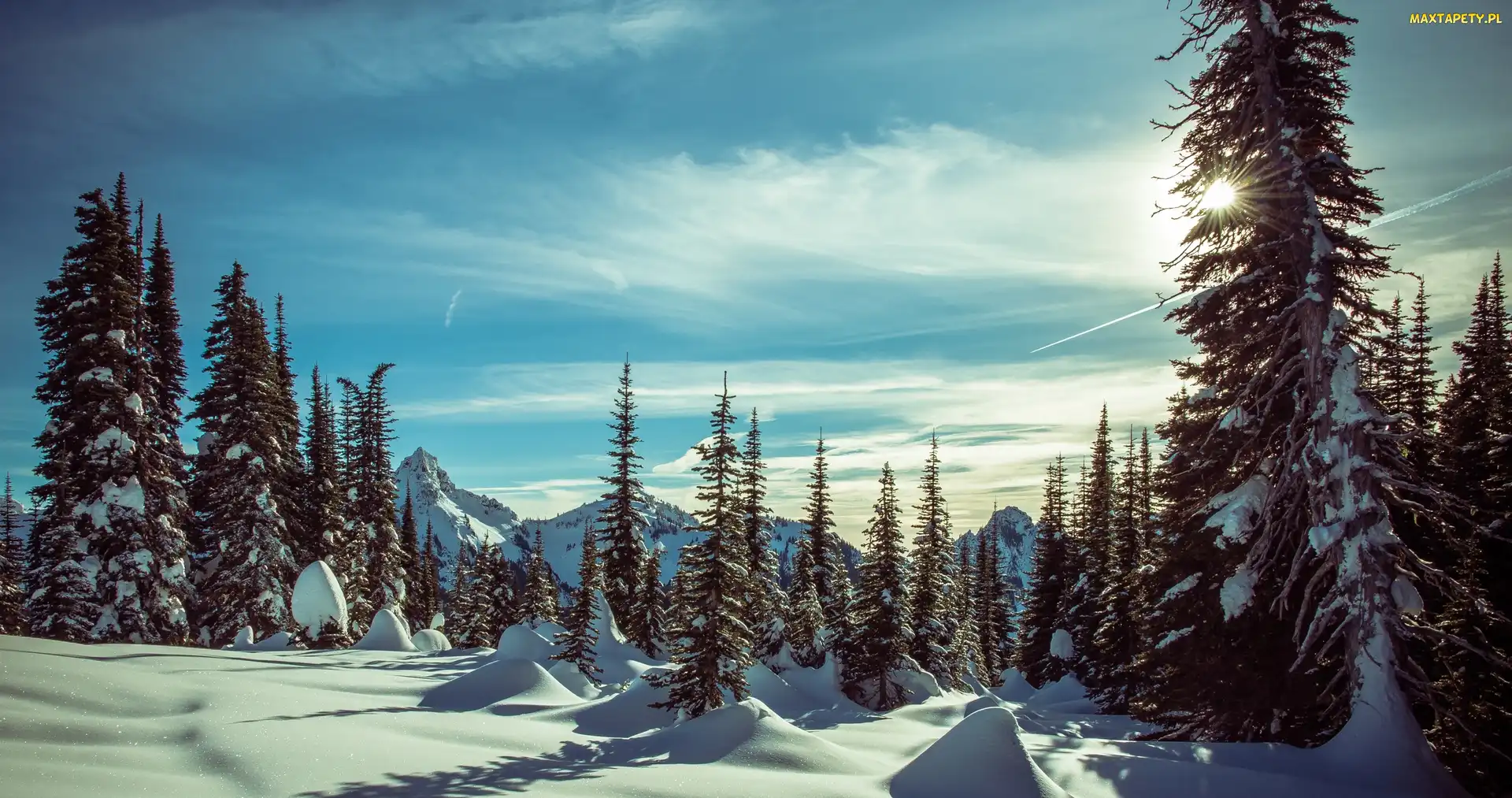 Góry, Waszyngton, Stany Zjednoczone, Zima, Zaspy, Drzewa, Promienie słońca, Park Narodowy Mount Rainier