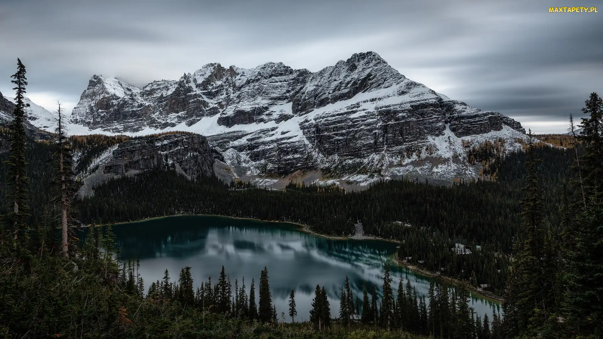 Kanada, Las, Góry, Drzewa, Canadian Rockies, Lake OHara, Kolumbia Brytyjska, Park Narodowy Yoho, Jezioro