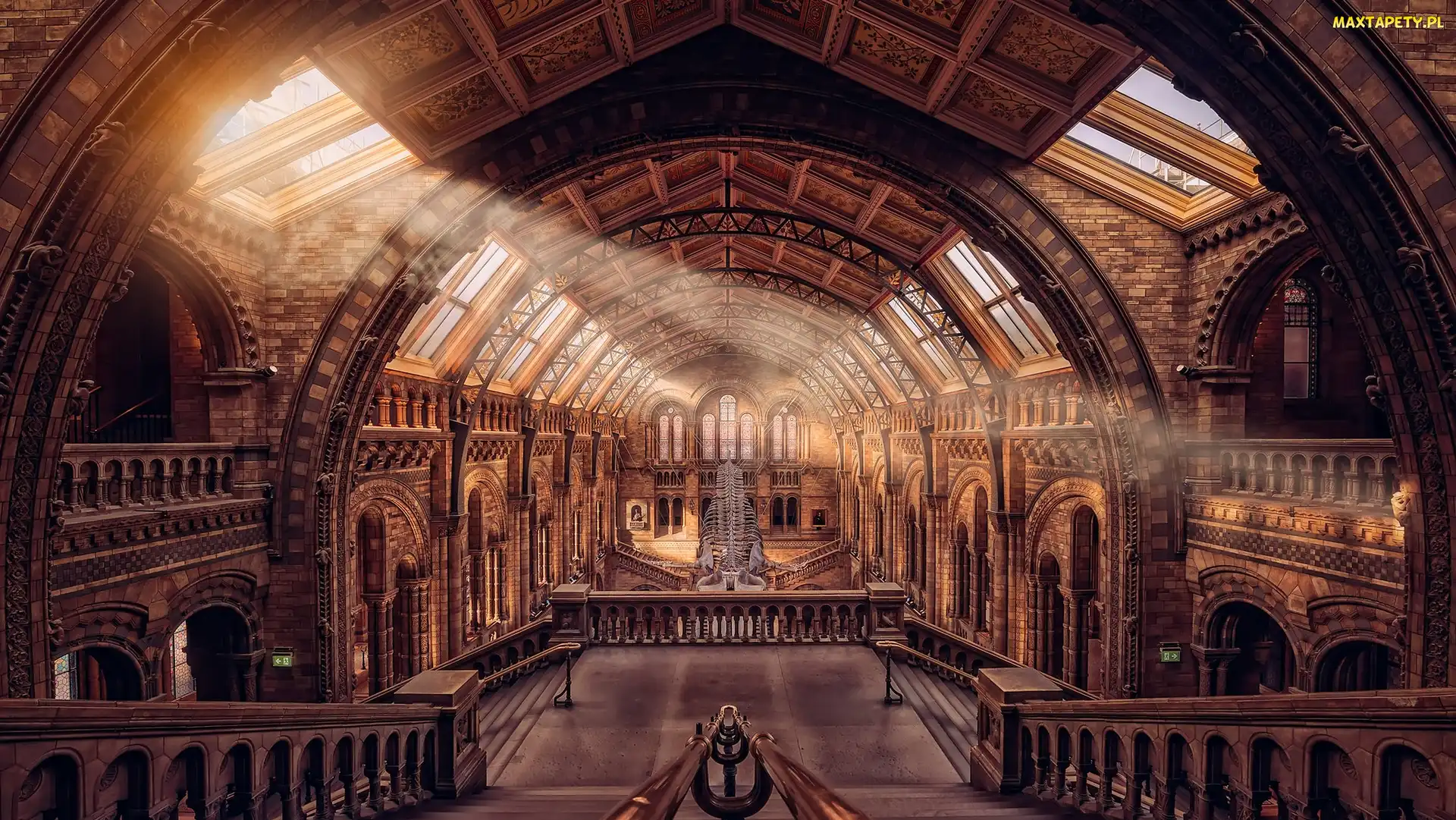 Przebijające światło, Wnętrze, Londyn, Anglia, Muzeum Historii Naturalnej, Schody