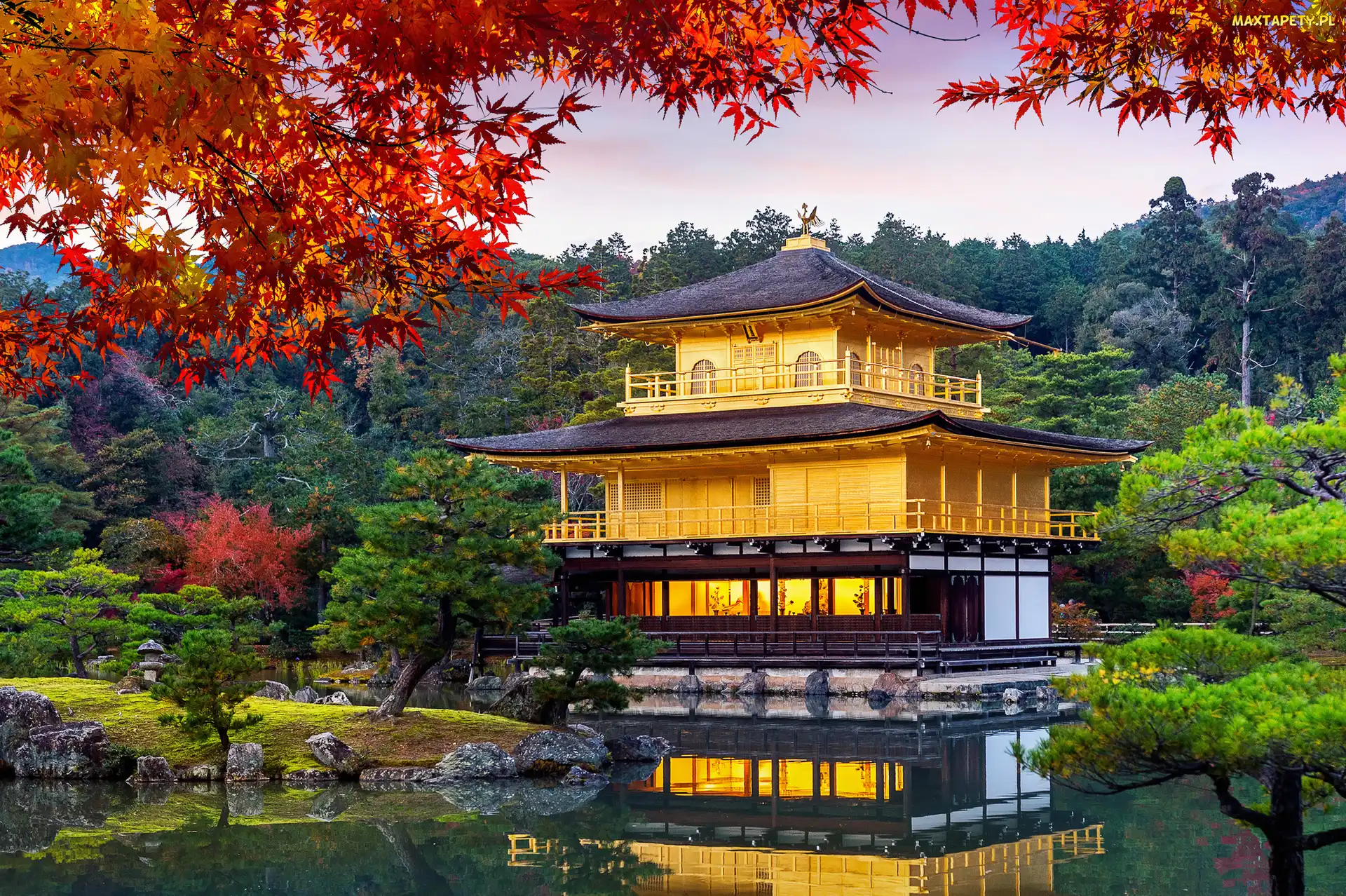 Kioto, Drzewa, Złoty Pawilon, Japonia, Liście, Świątynia Kinkakuji, Staw Kyko chi
