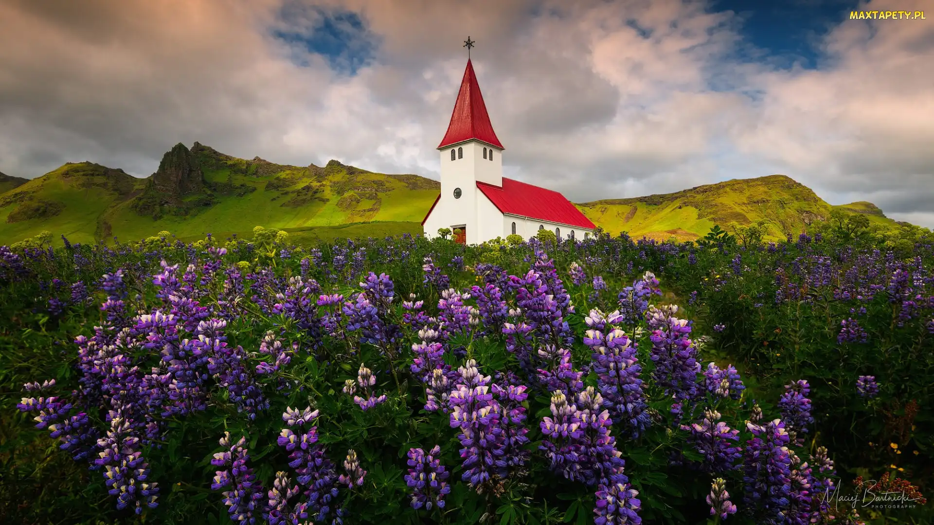 Łąka, Góry, Kościół, Zielone, Gmina Myrdalshreppur, Łubin, Islandia, Miejscowość Vik i Myrdal