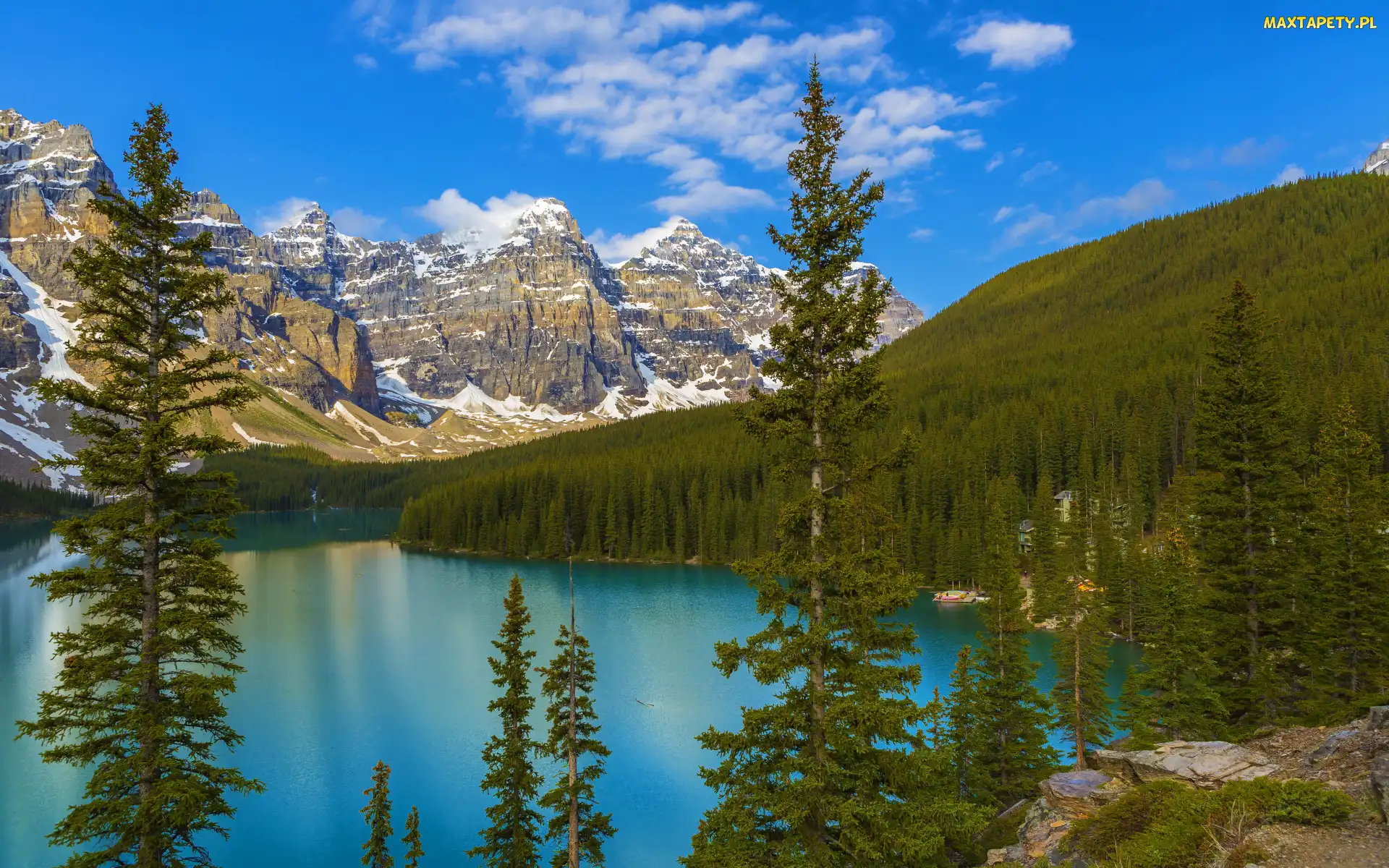 Moraine Lake, Drzewa, Jezioro, Góry, Kanada, Park Narodowy Banff, Świerki, Prowincja Alberta, Las